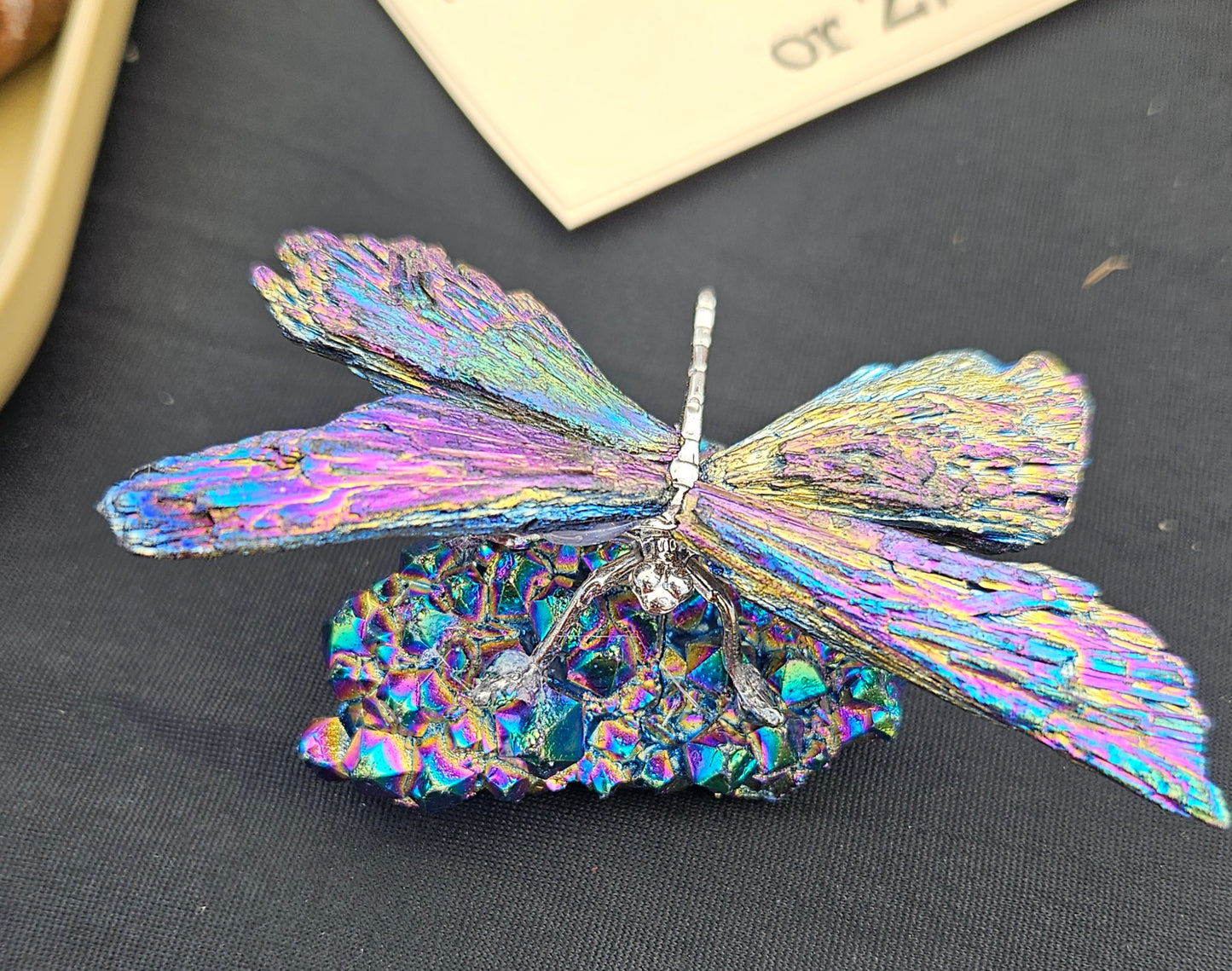 Rainbow Kyanite Dragonfly on Aura Quartz