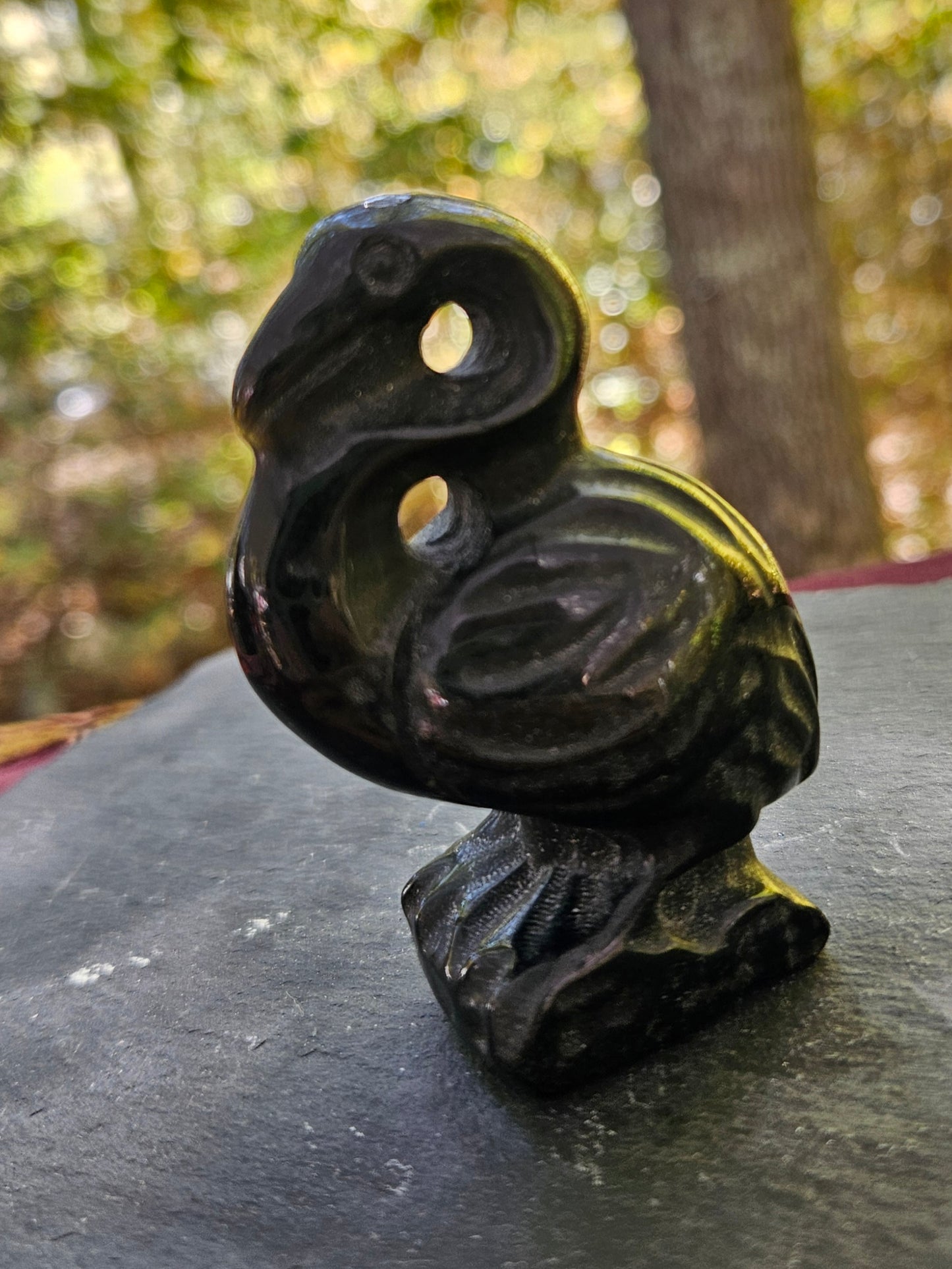 Unique Bold Onyx Pelican