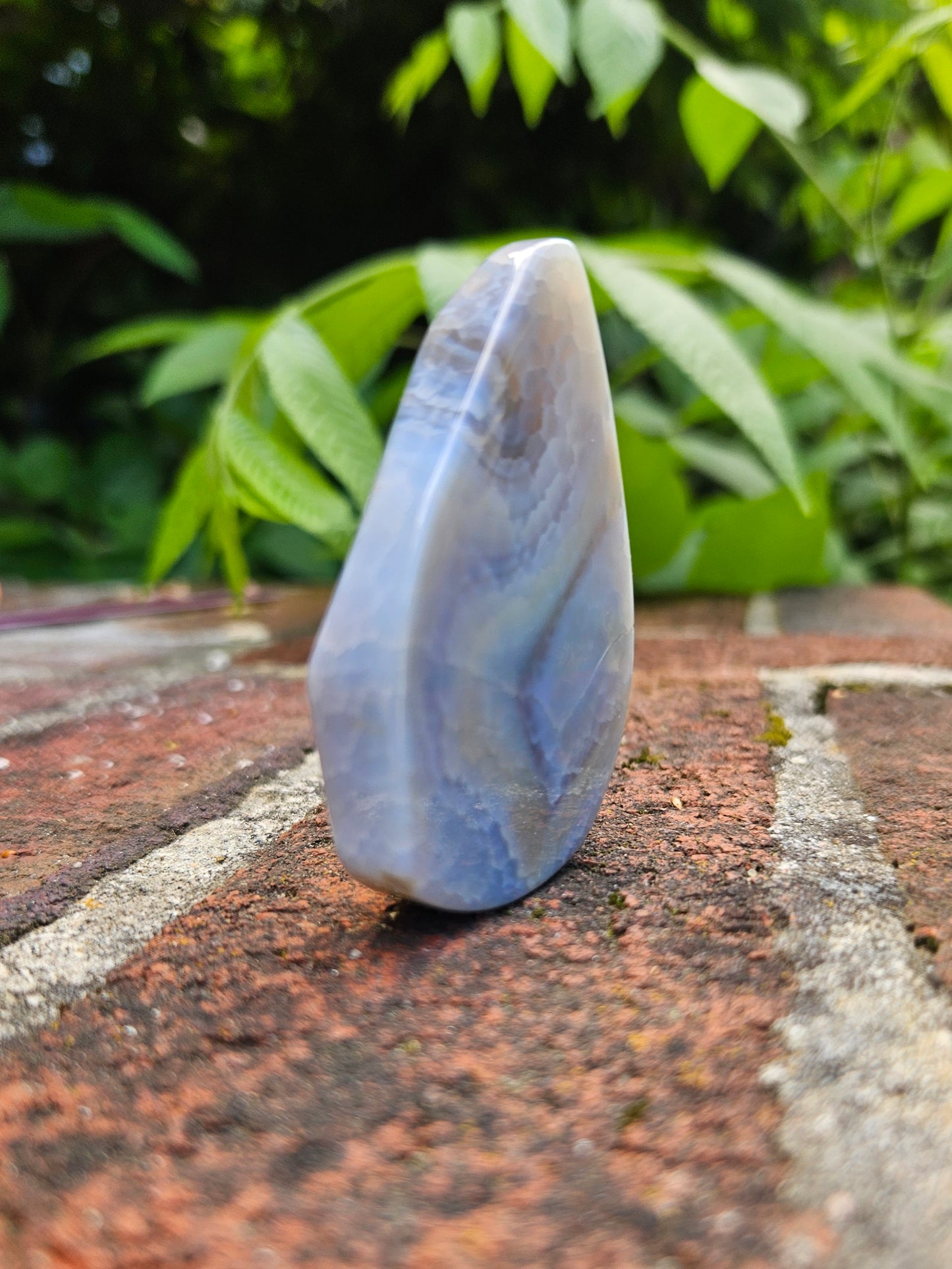 Blue Lace Agate free-form