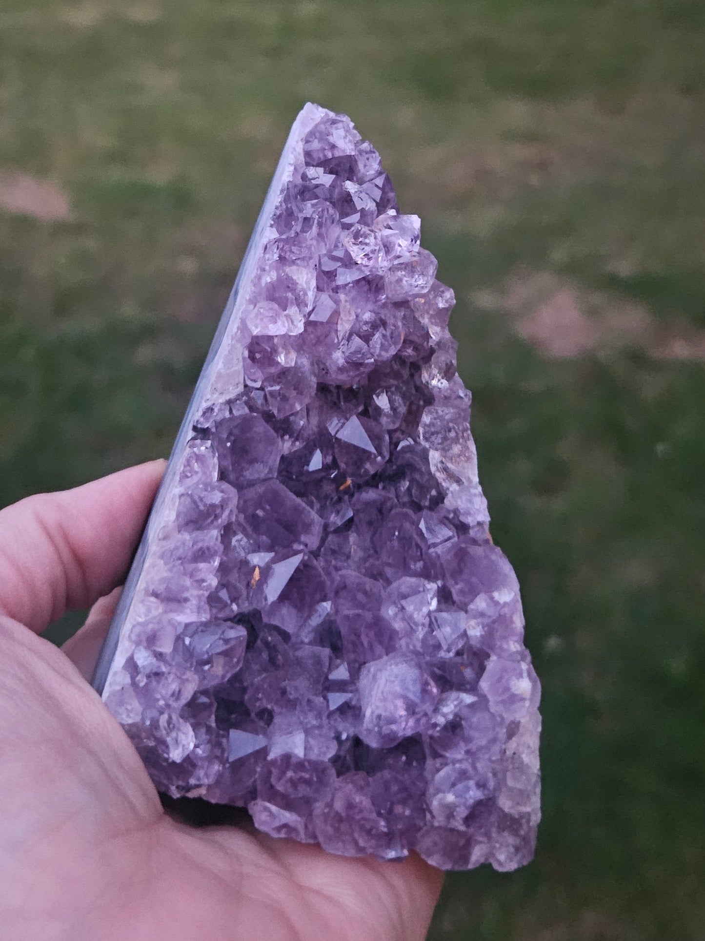 Amethyst Cluster