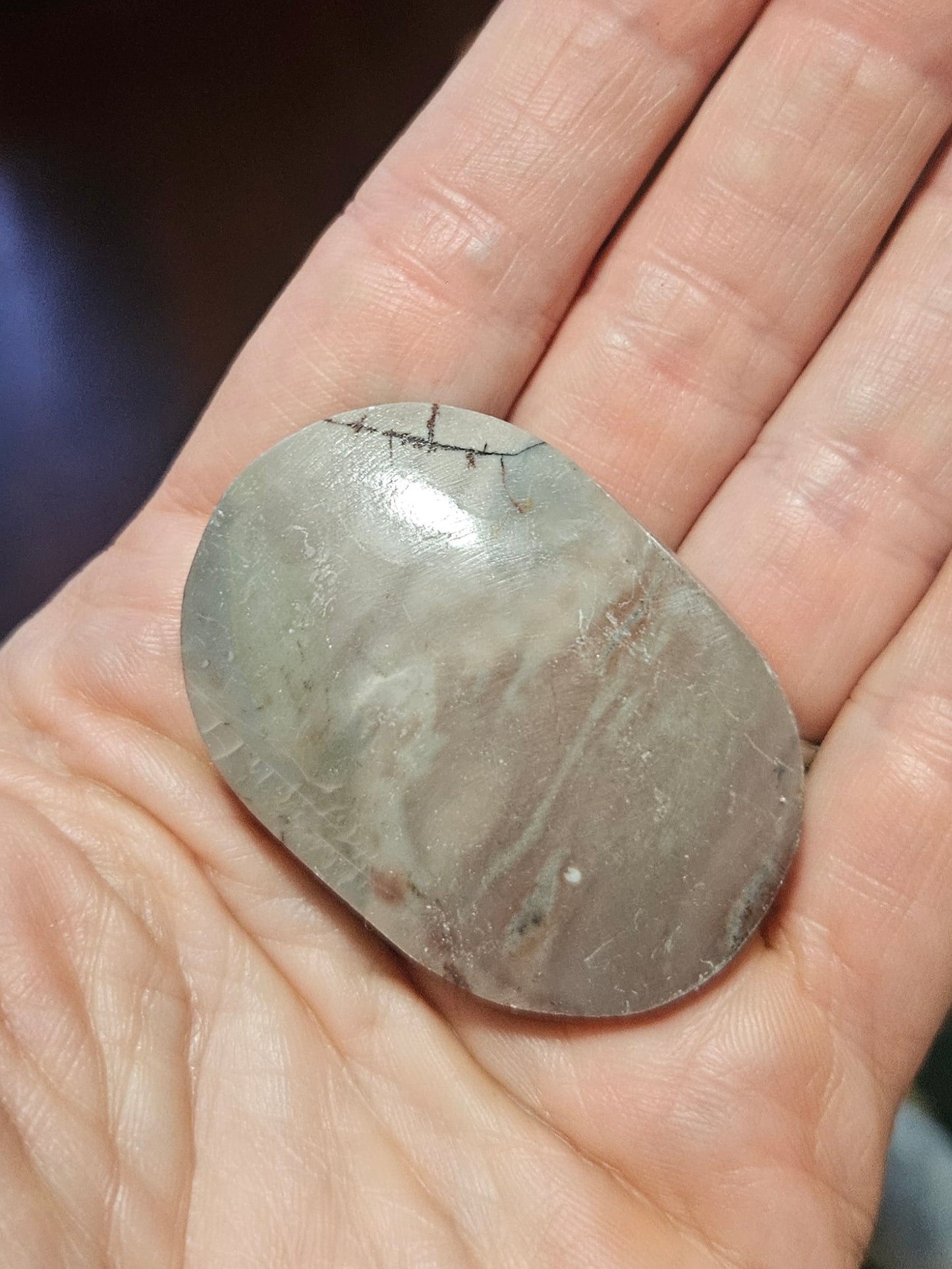 Dendritic Jasper palm