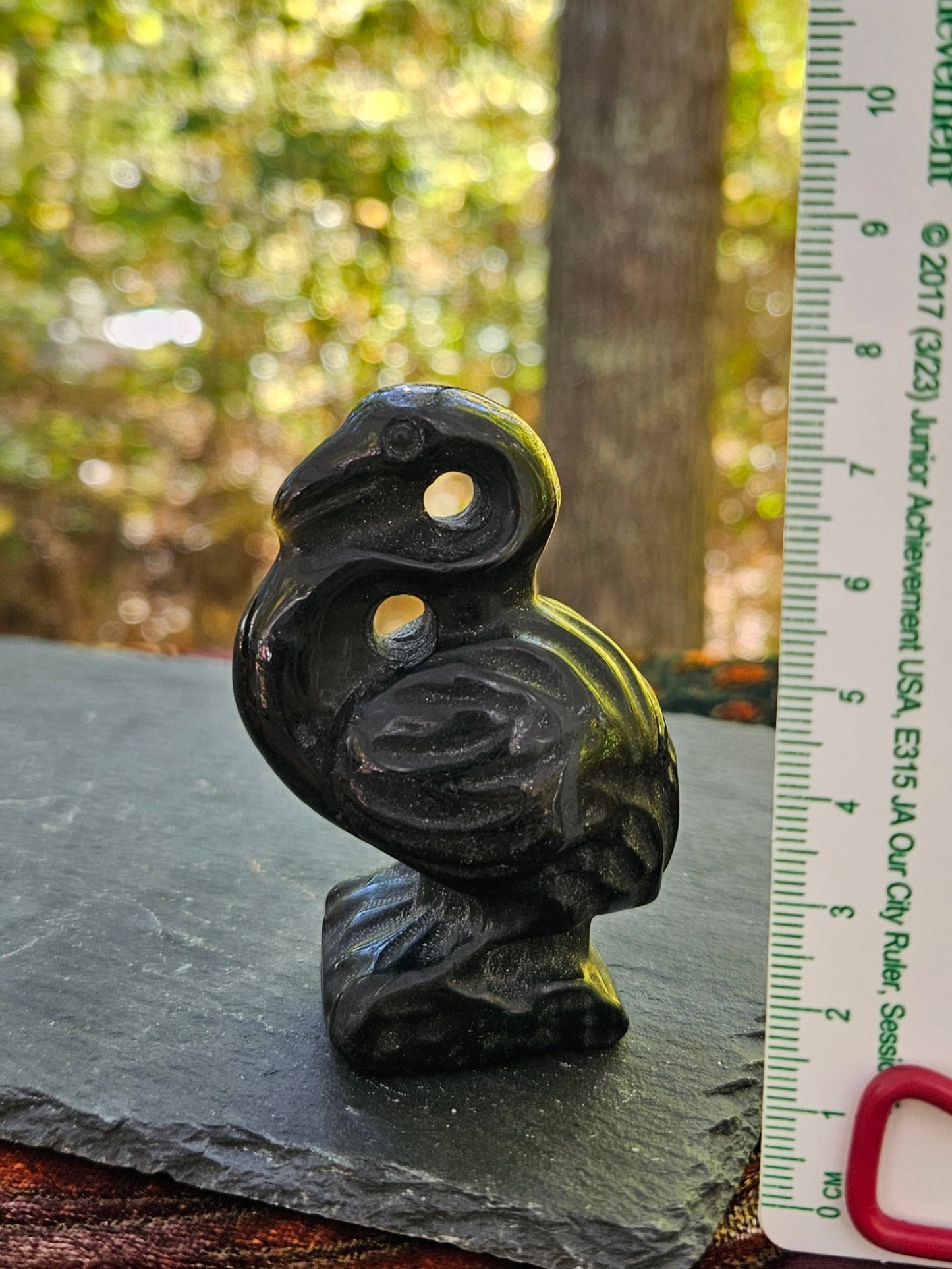 Unique Bold Onyx Pelican