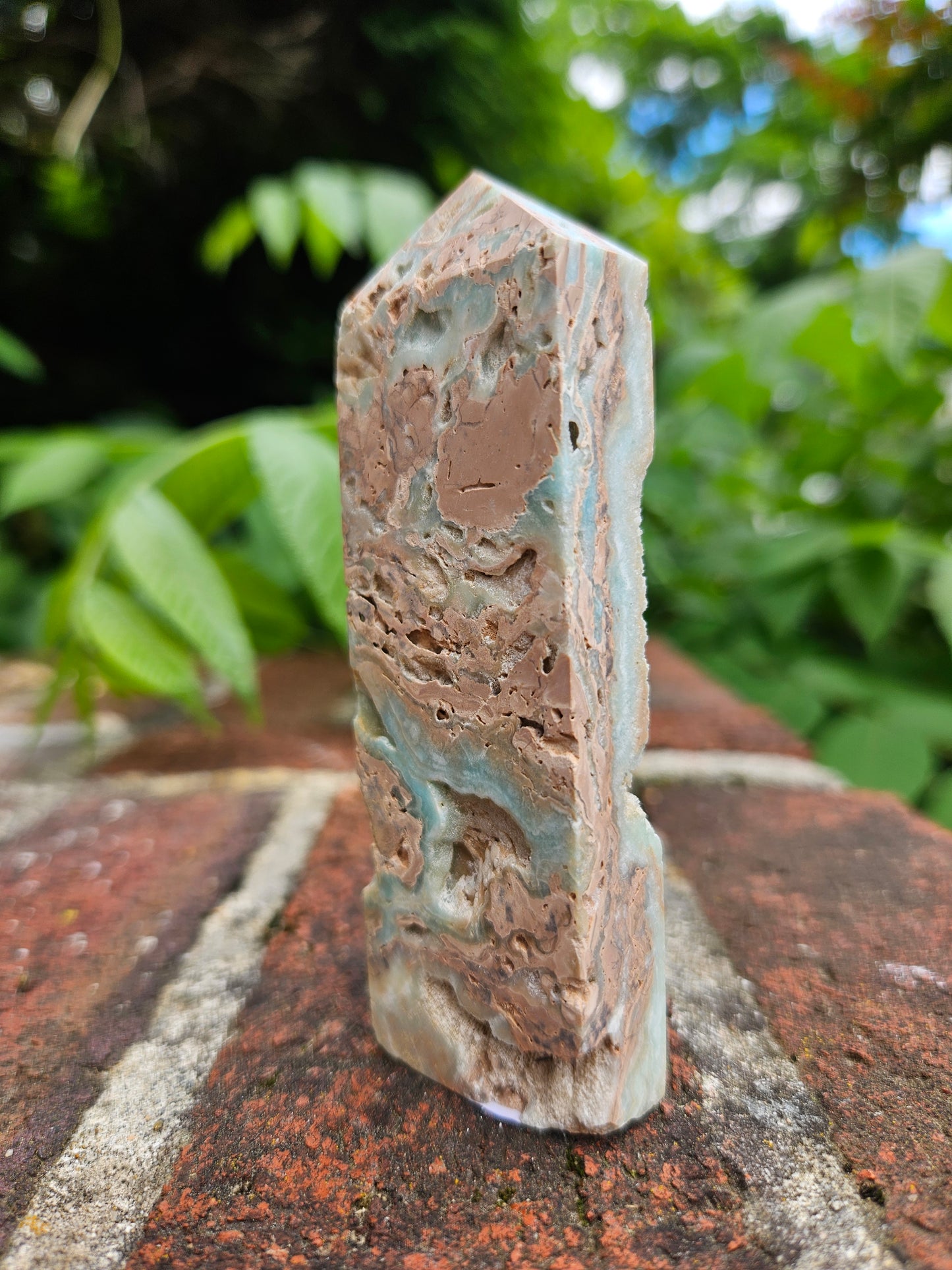 Caribbean Calcite tower