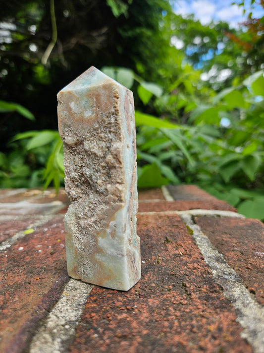 Caribbean Calcite tower