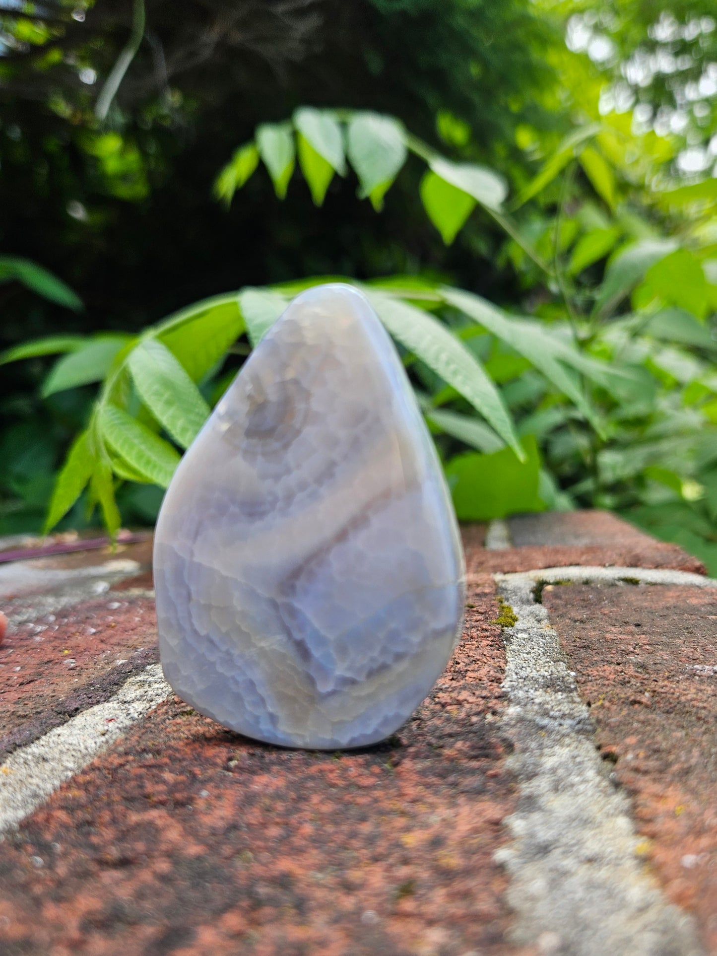 Blue Lace Agate free-form