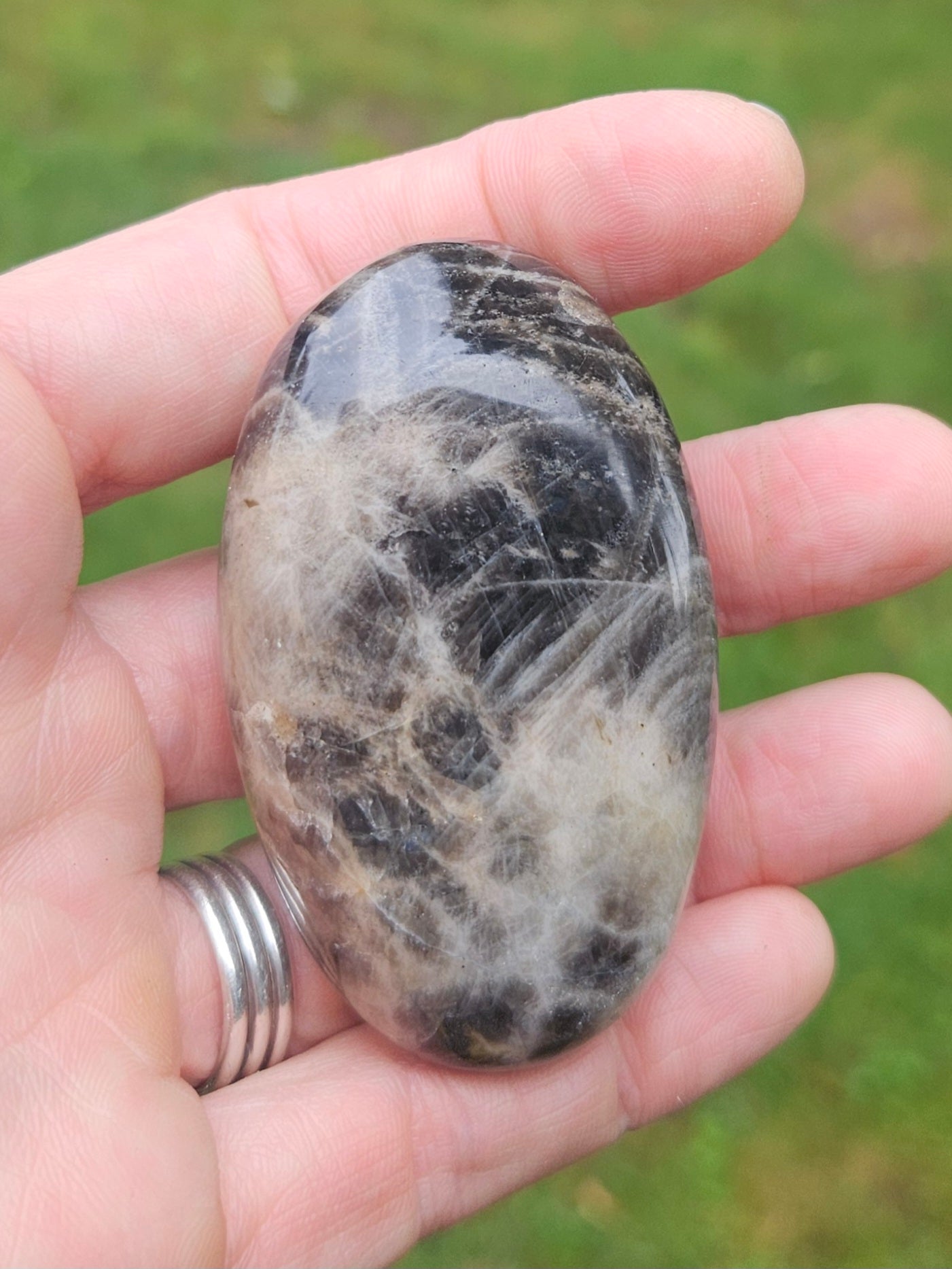 Black Moonstone palm stone