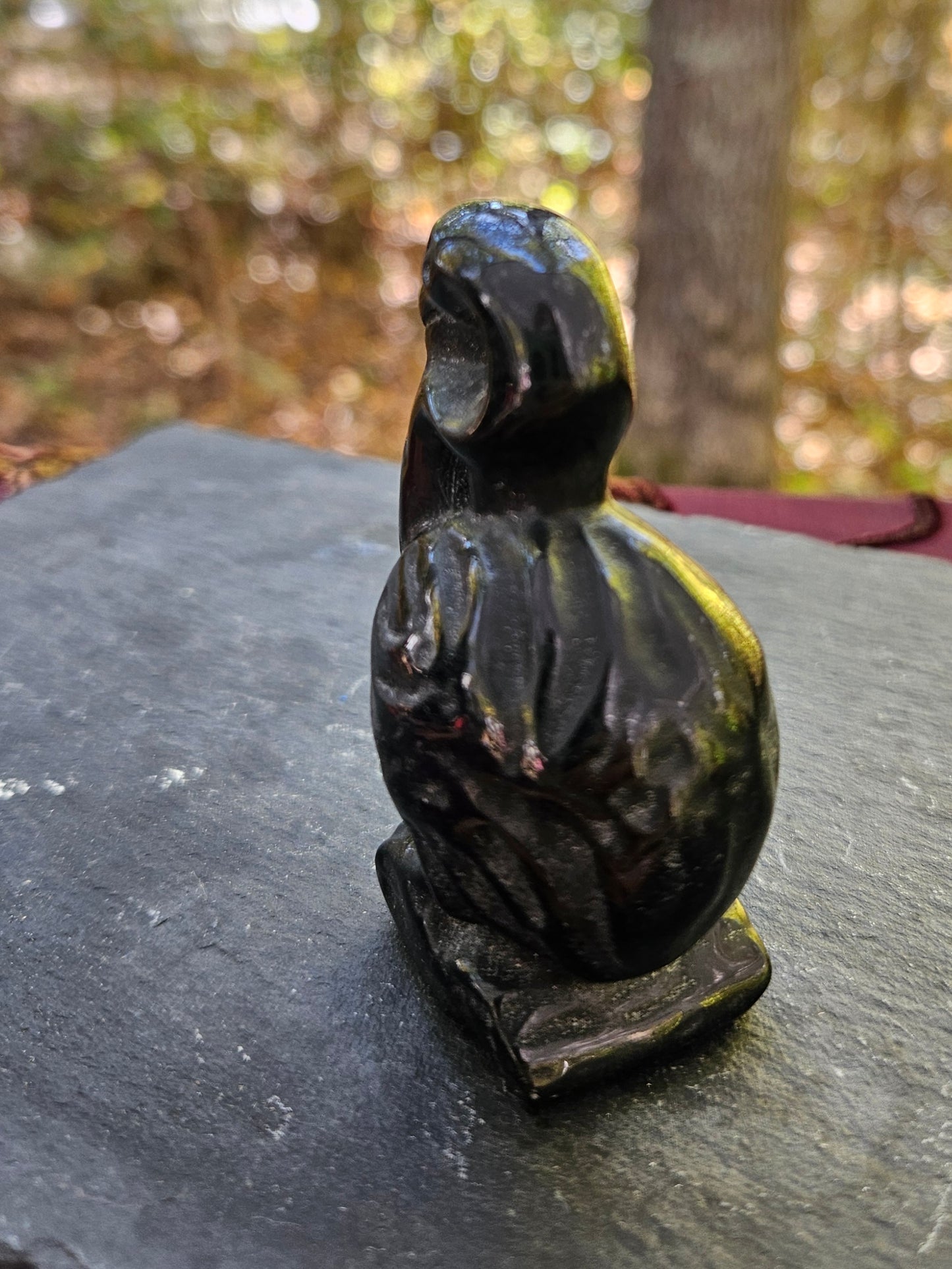 Unique Bold Onyx Pelican