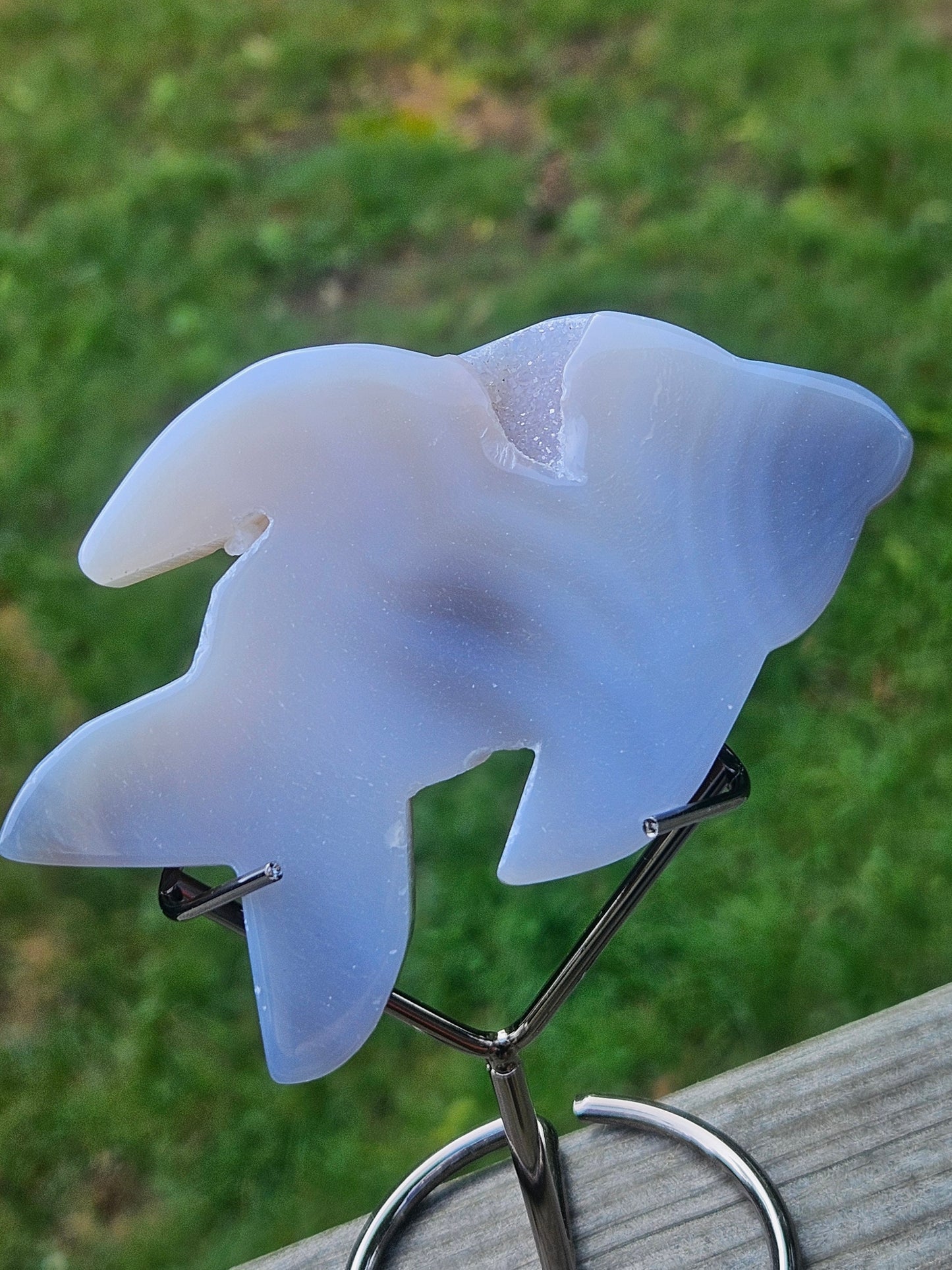 Botswana Agate Dolphin carving