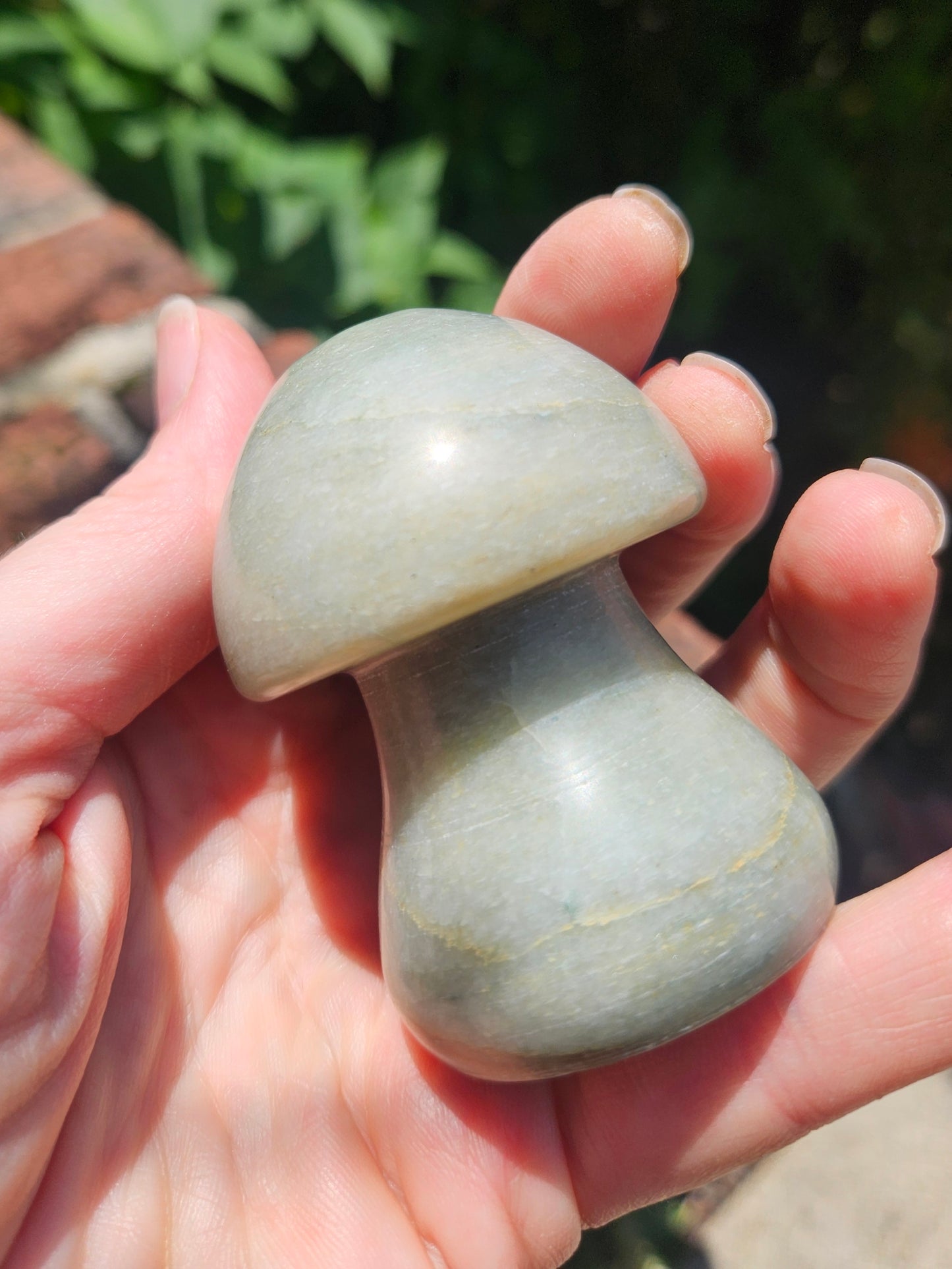Trolleite mushroom