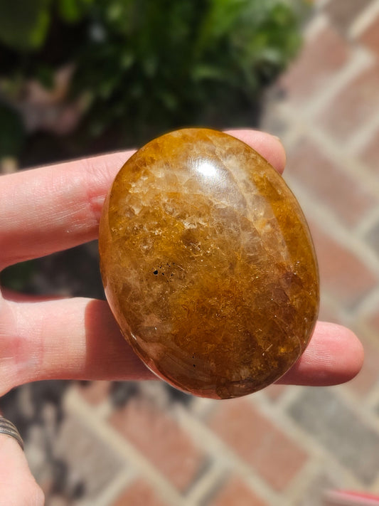 Golden Healer palm