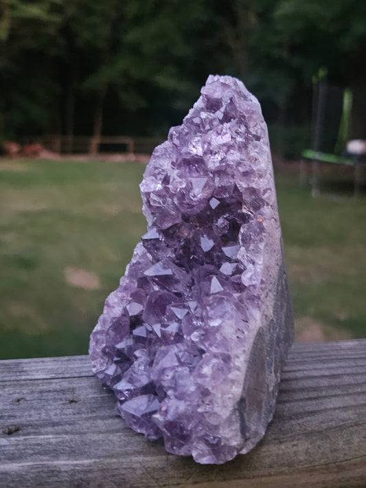 Amethyst Cluster