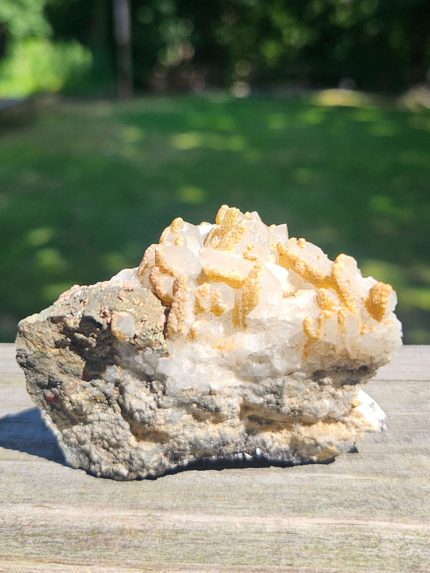 Mineral Specimen✨️