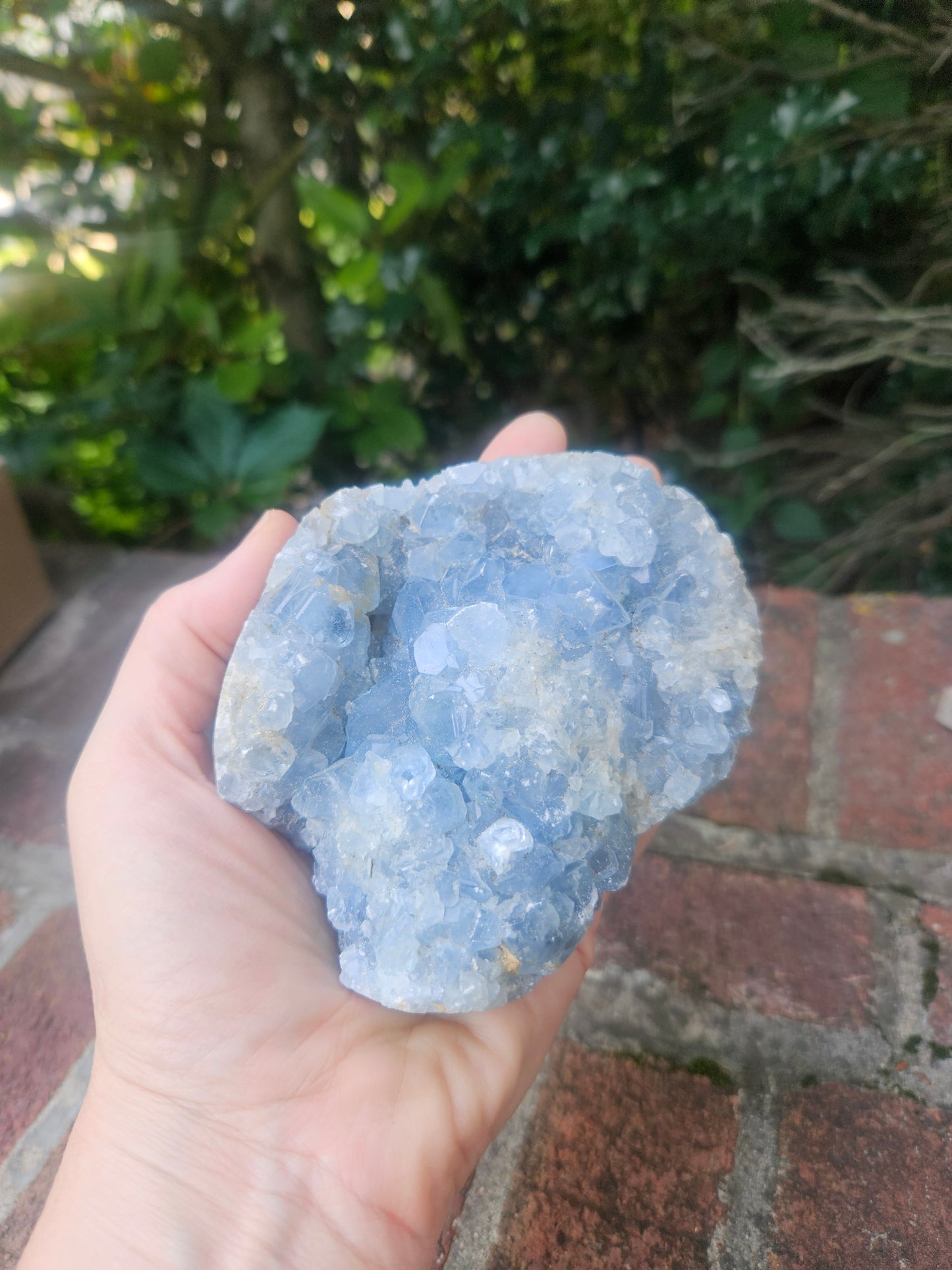 Celestine Geode