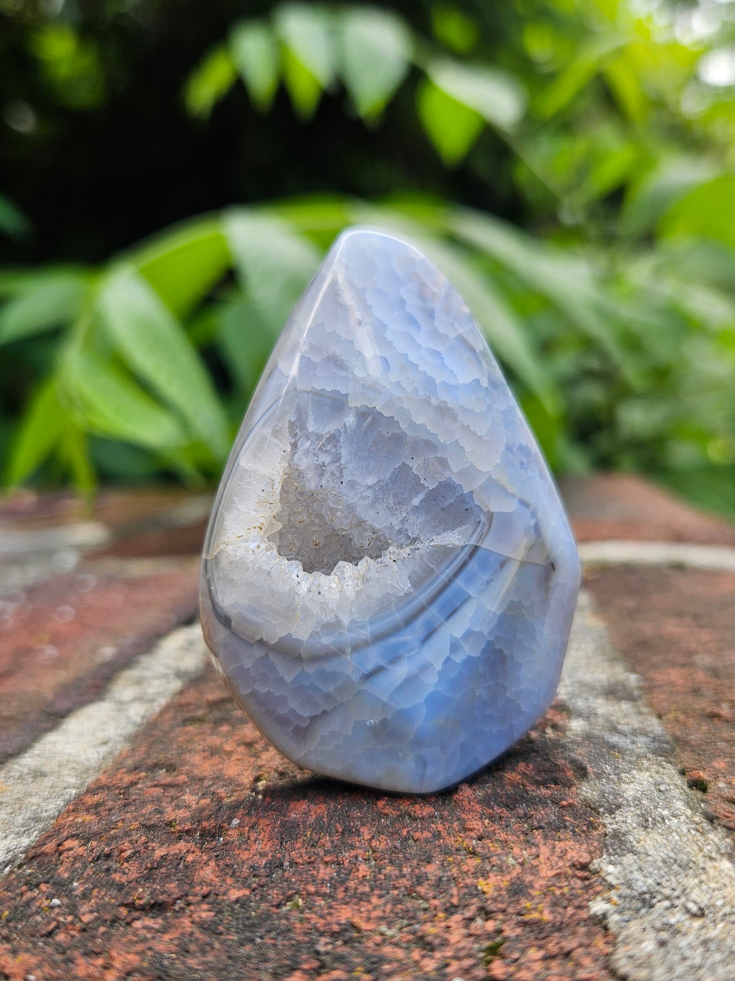 Blue Lace Agate free-form