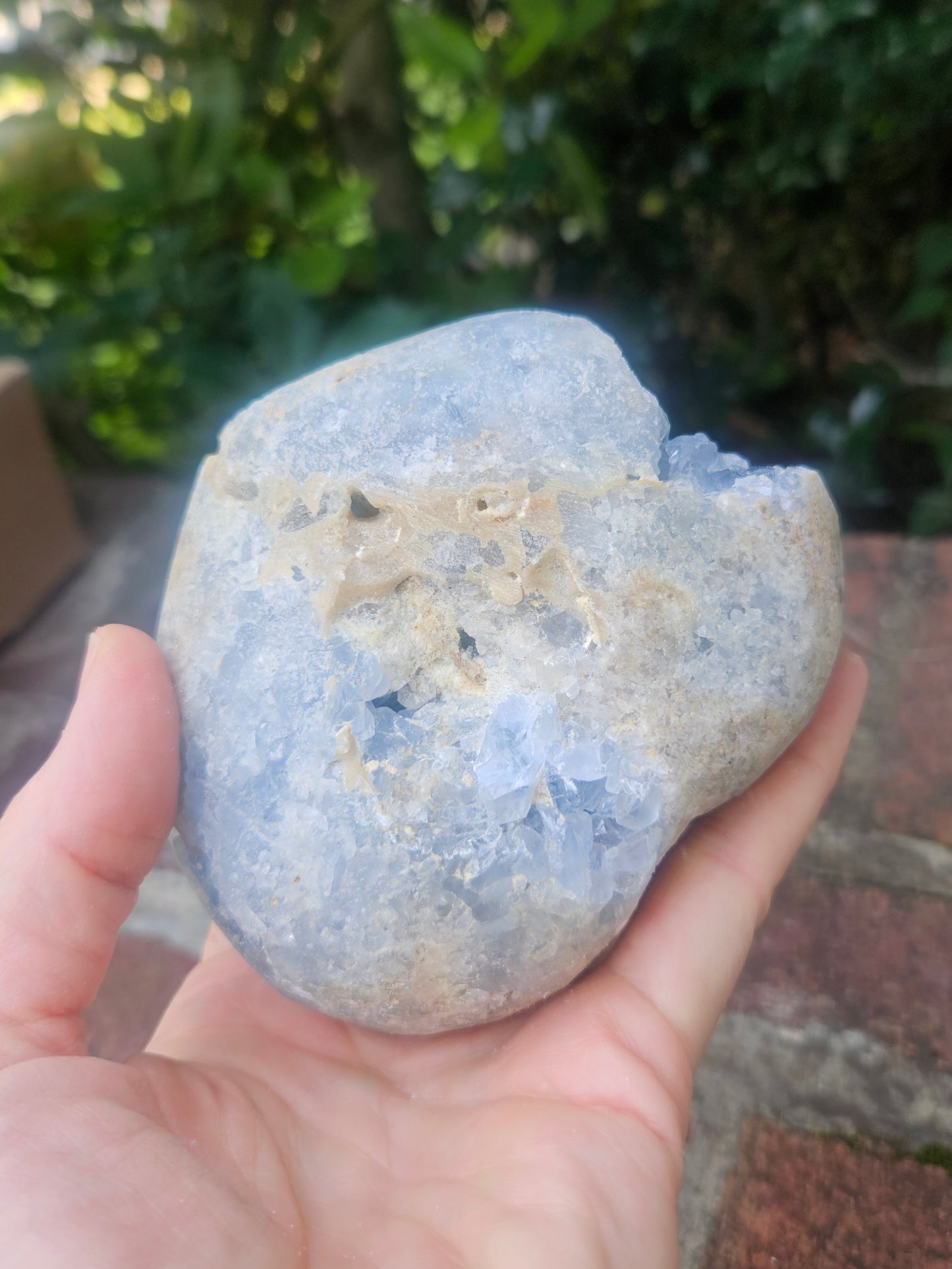 Celestine Geode