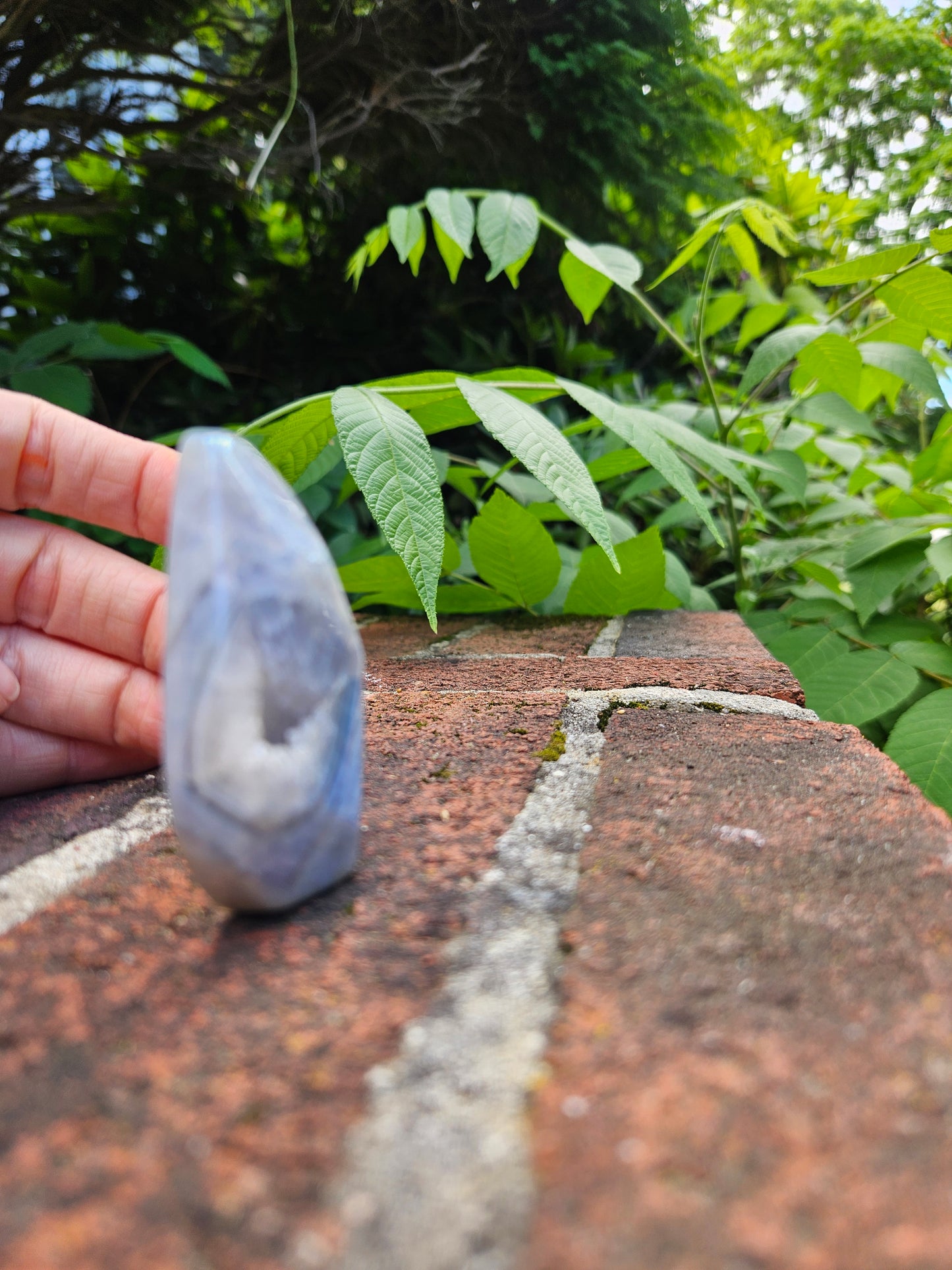 Blue Lace Agate free-form
