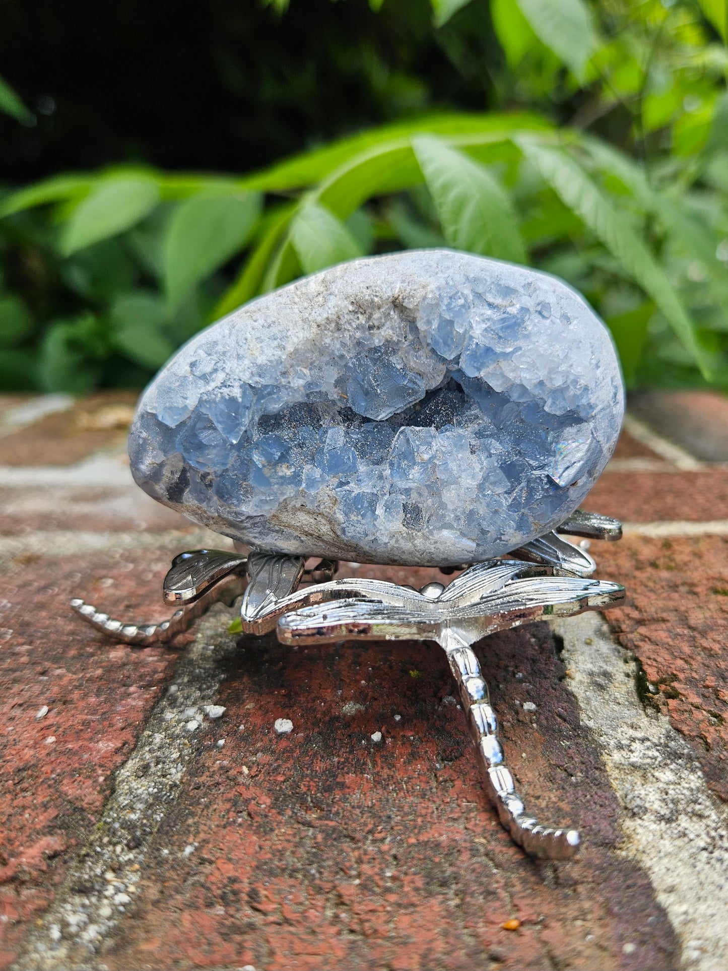 Celestite geode
