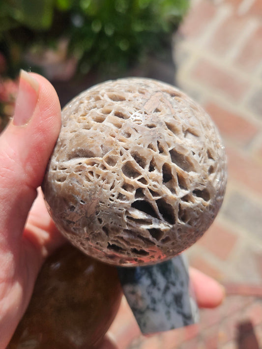 Fossilized Coral Sphere