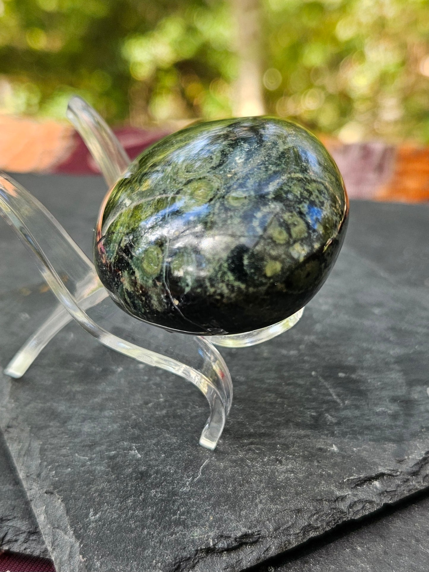 Kambaba Jasper palm stone