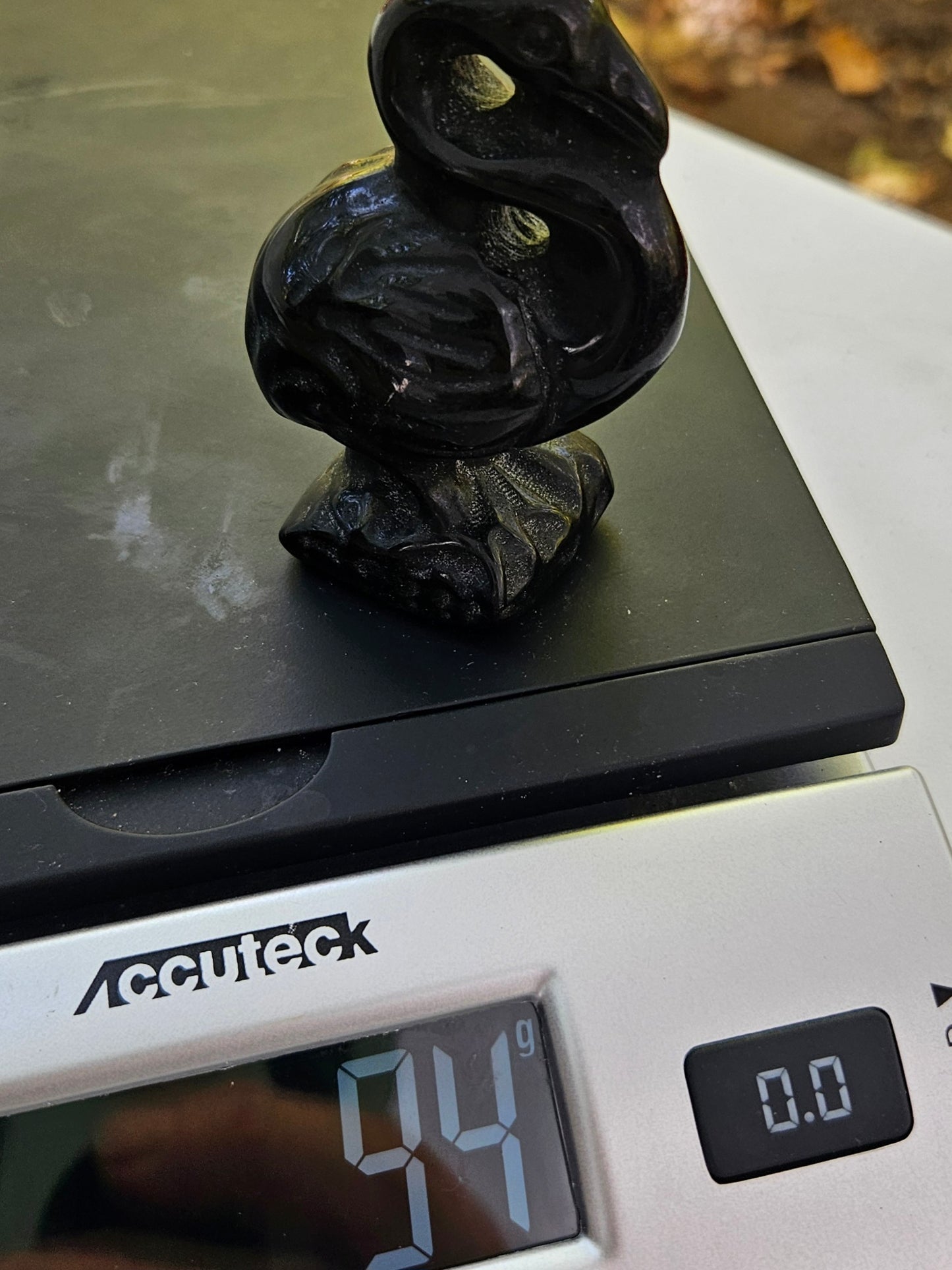 Unique Bold Onyx Pelican