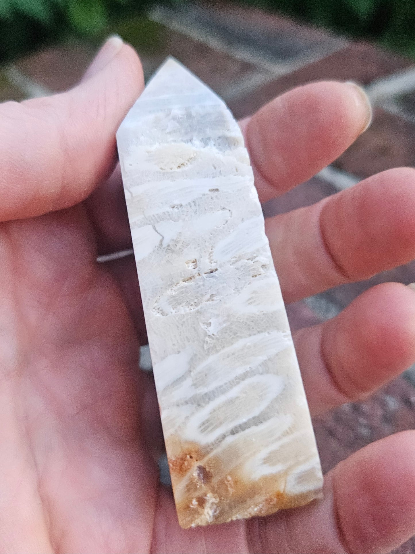 Fossilized Coral tower
