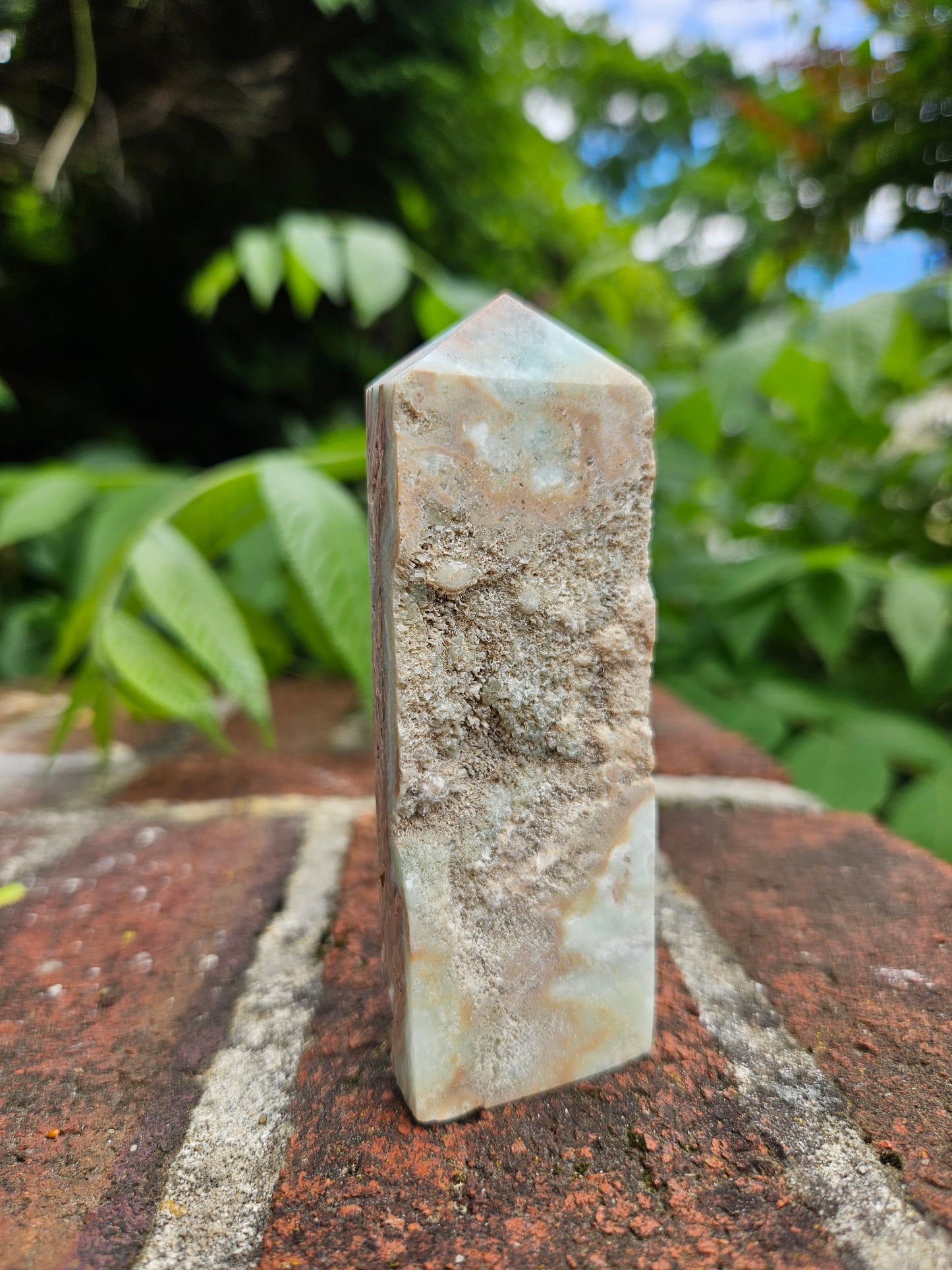 Caribbean Calcite tower