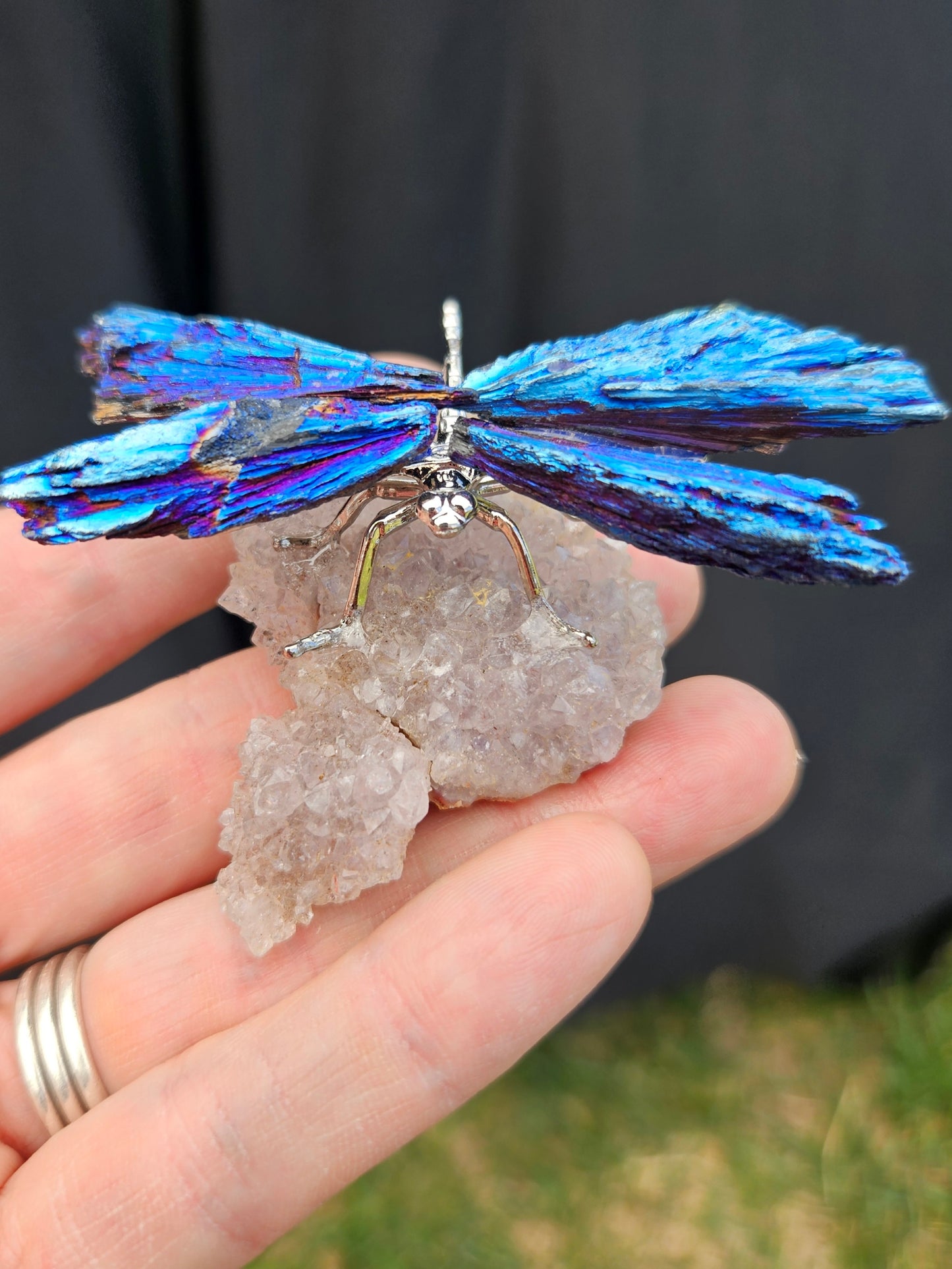 Blue Kyanite Dragonfly on Pink Amethyst cluster