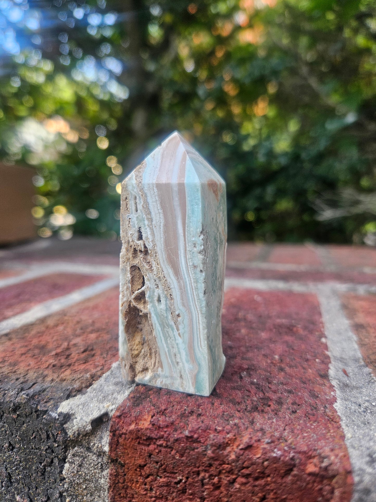 Caribbean Calcite tower