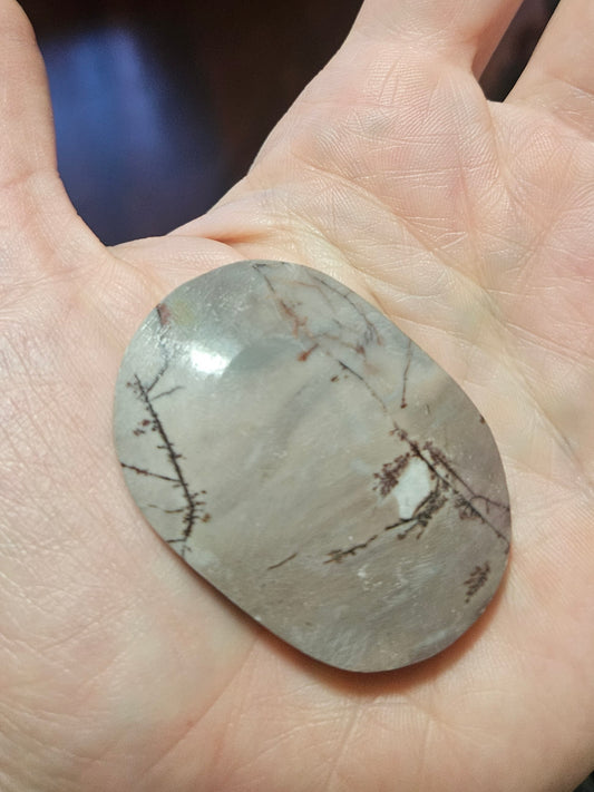 Dendritic Jasper palm