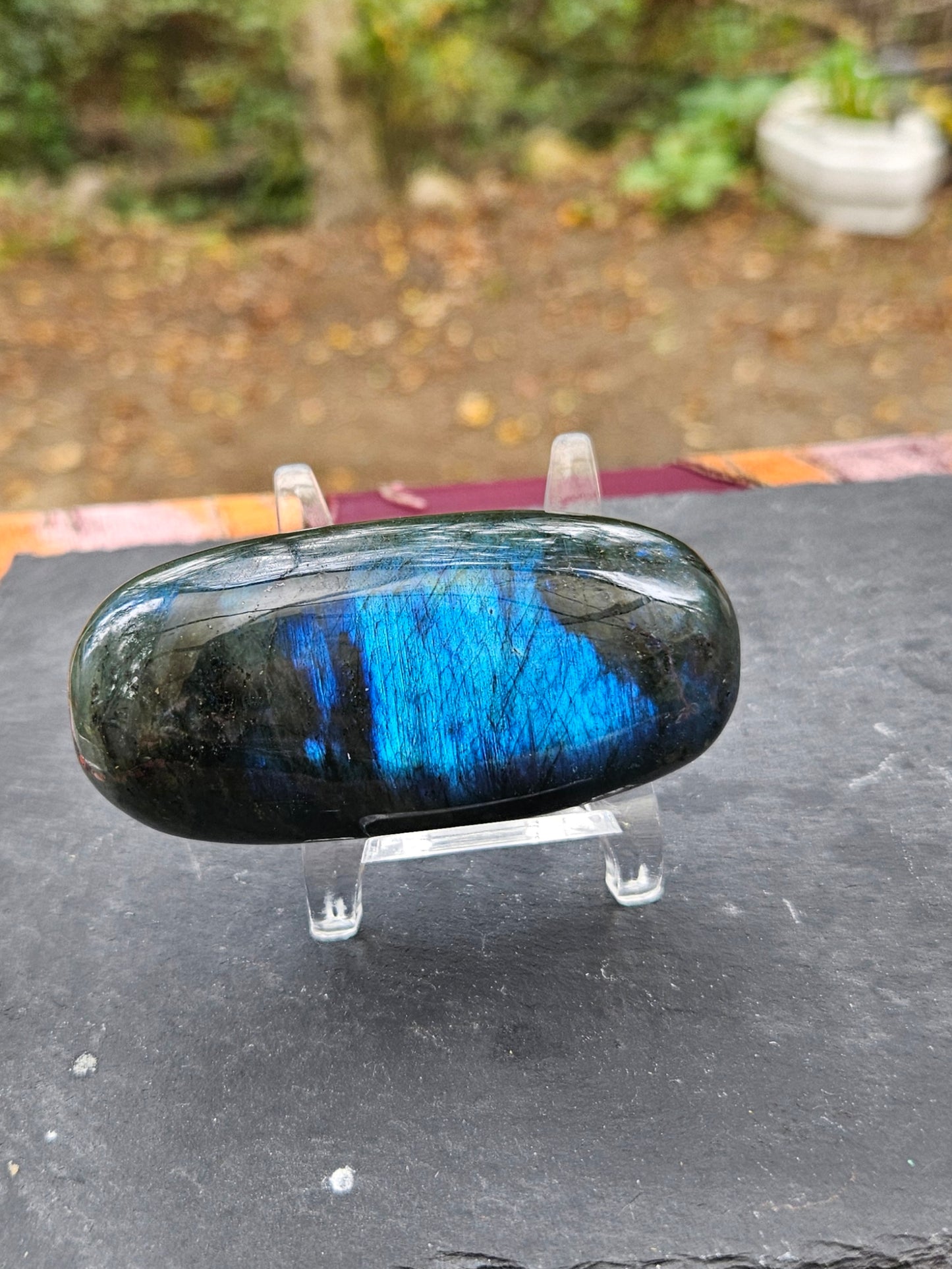 Labradorite palm stone - oversized
