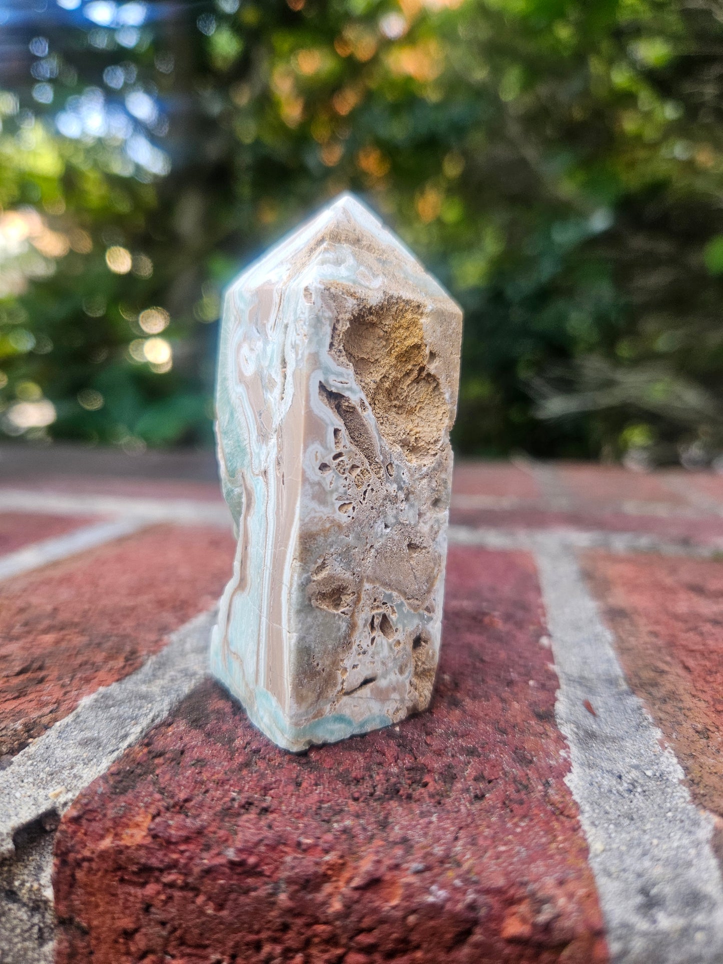 Caribbean Calcite tower
