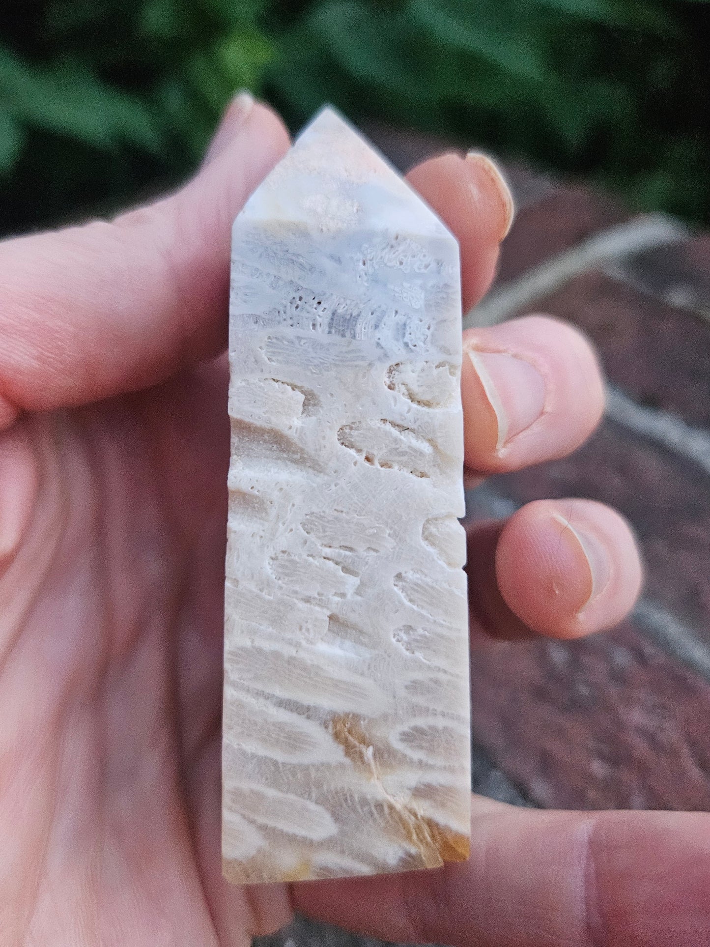 Fossilized Coral tower