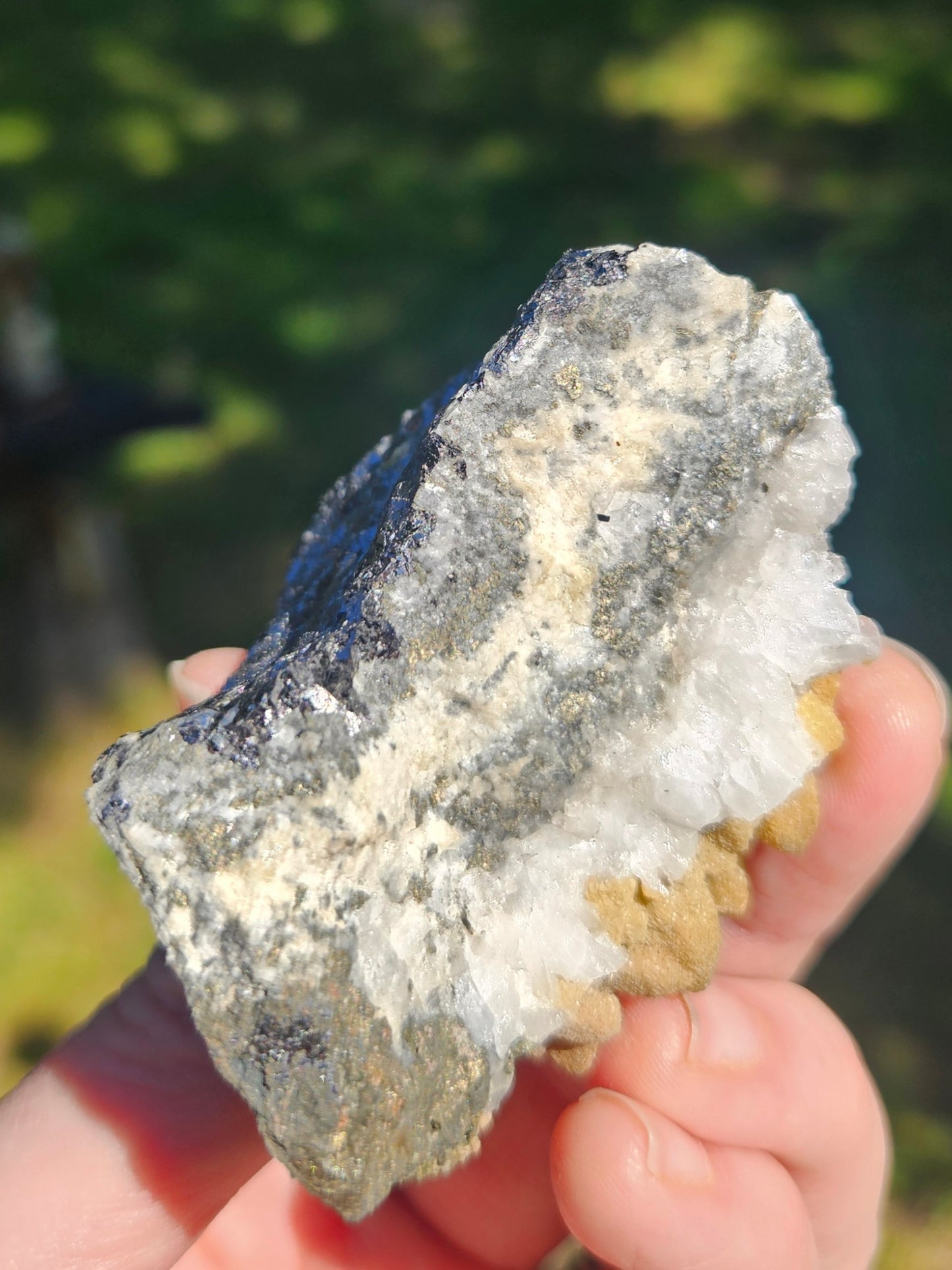 Mineral Specimen✨️
