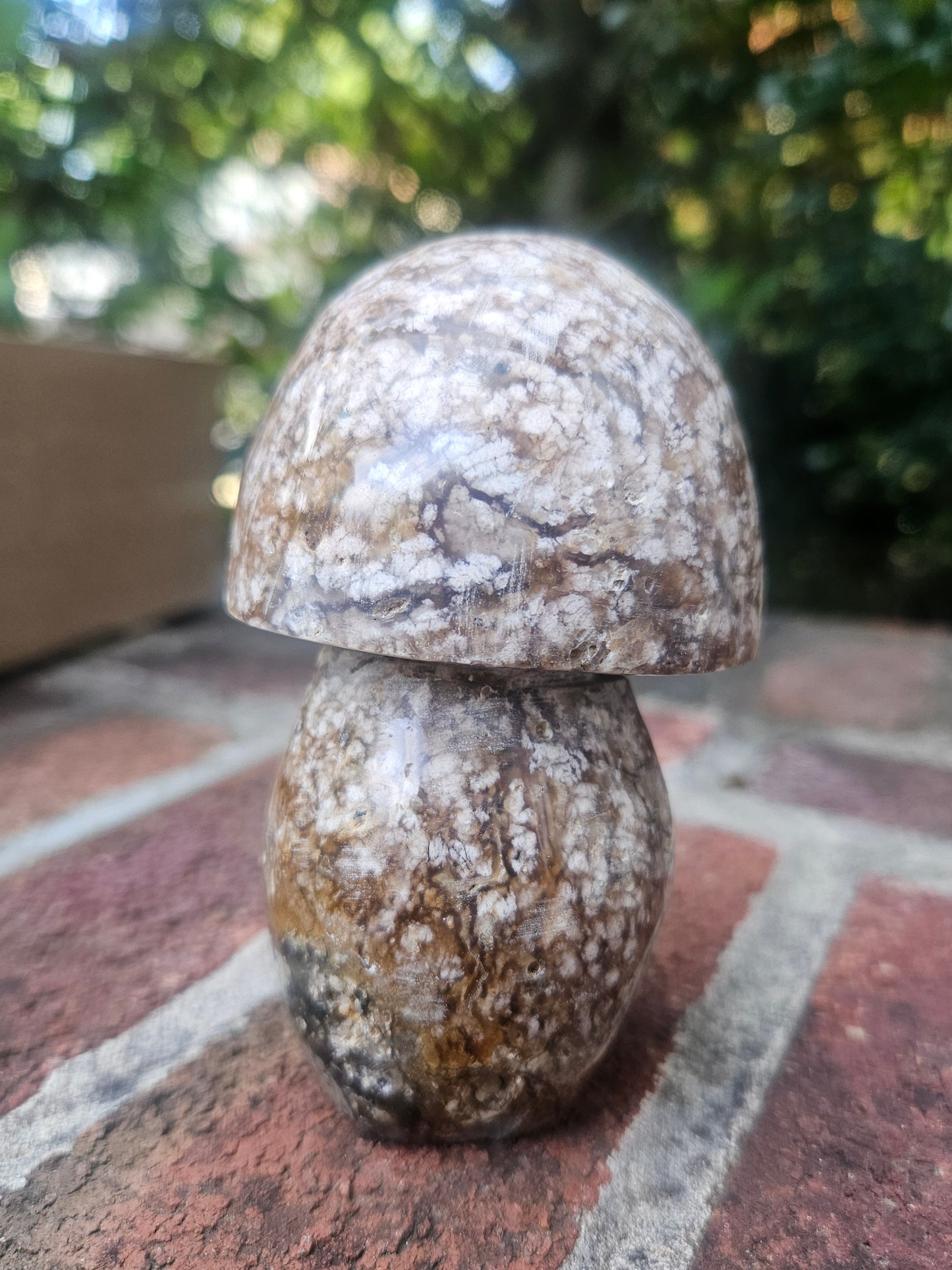 Flower Agate Mushroom carving