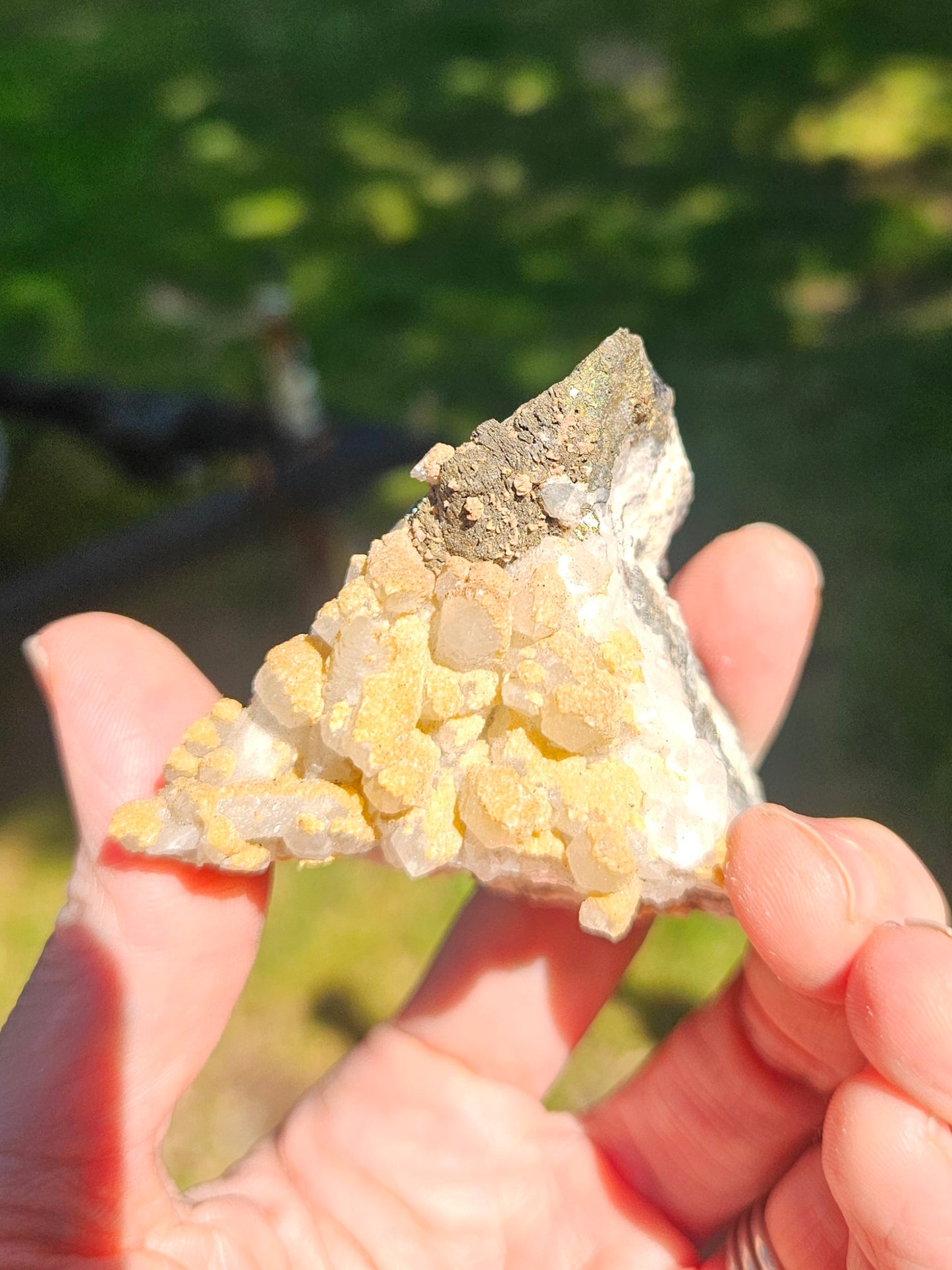 Mineral Specimen✨️