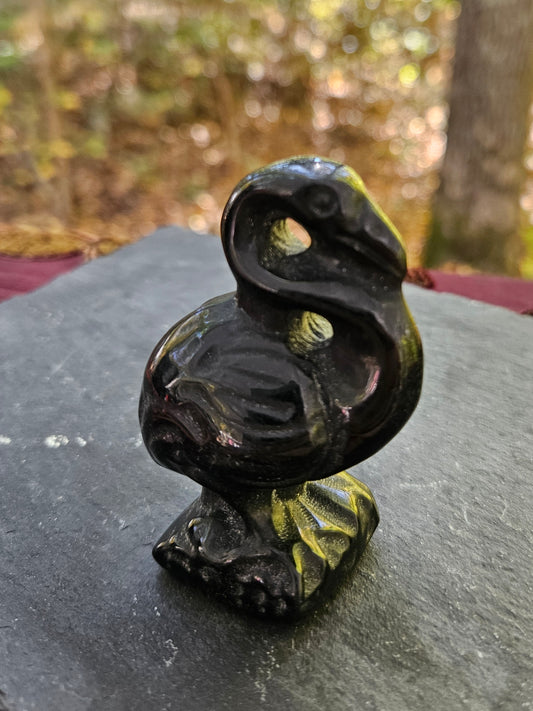 Unique Bold Onyx Pelican
