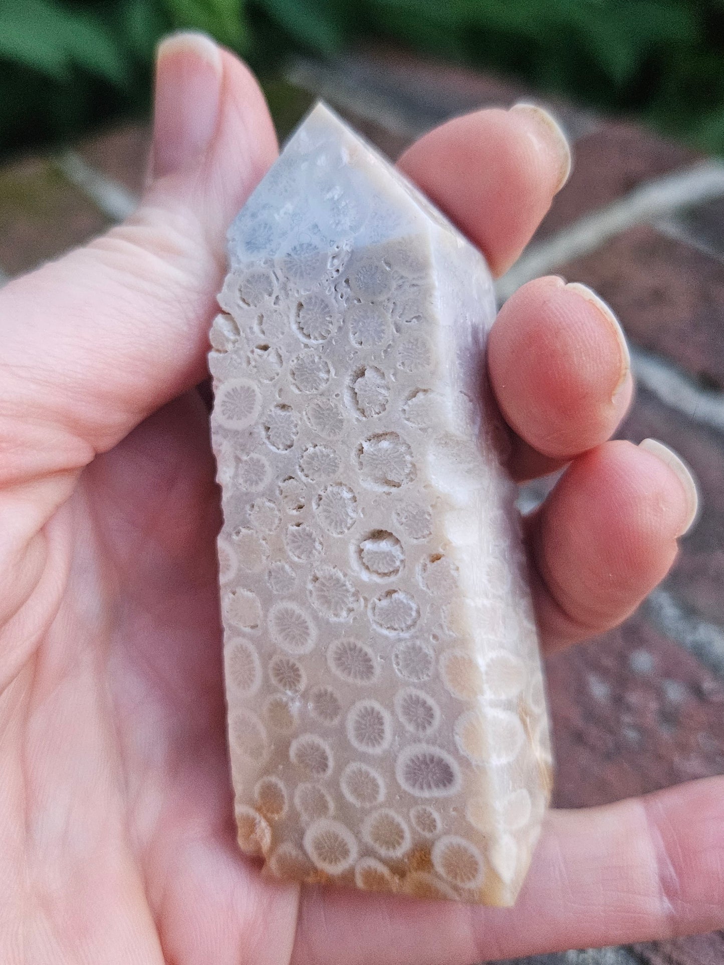 Fossilized Coral tower