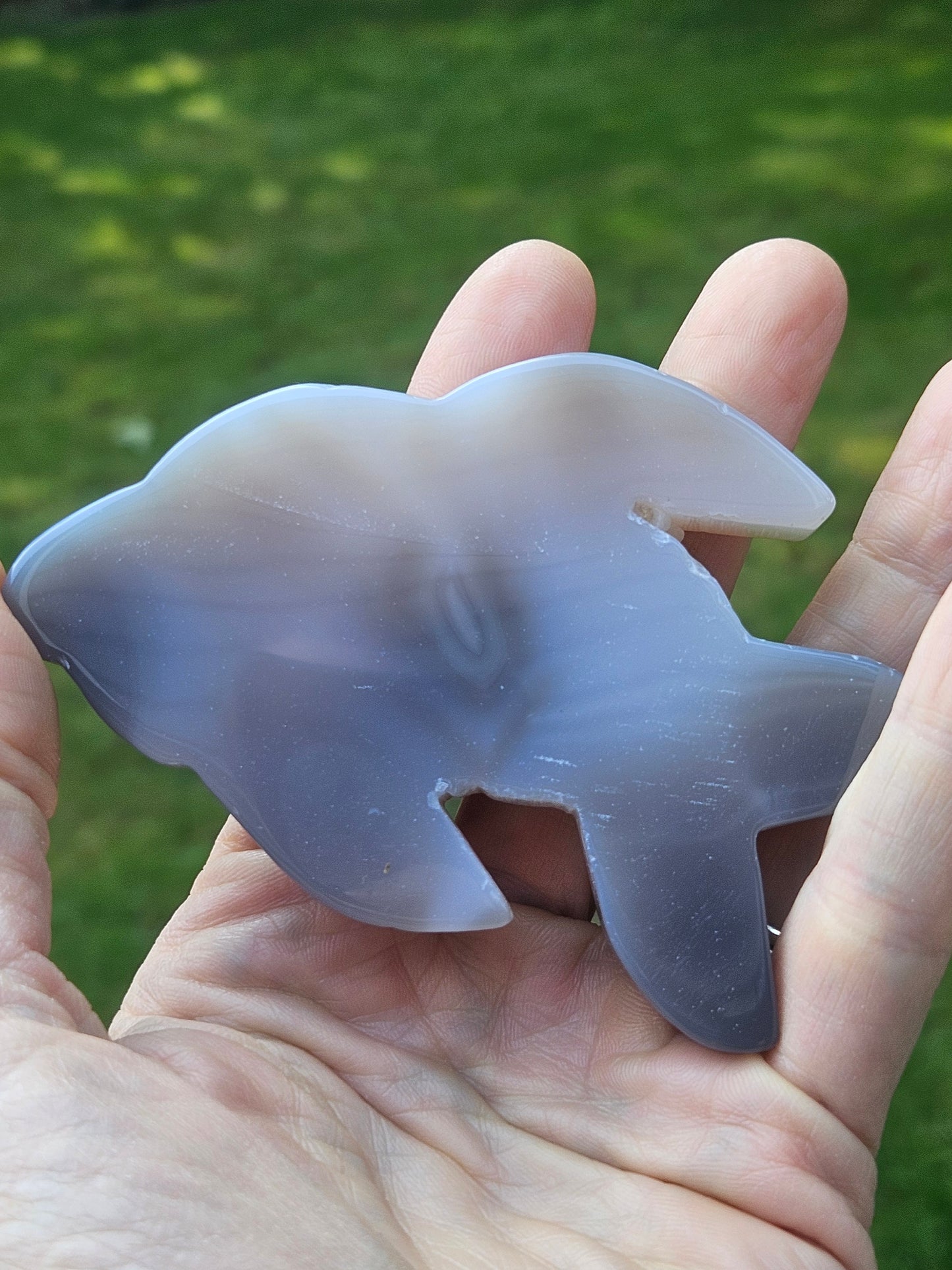 Botswana Agate Dolphin carving