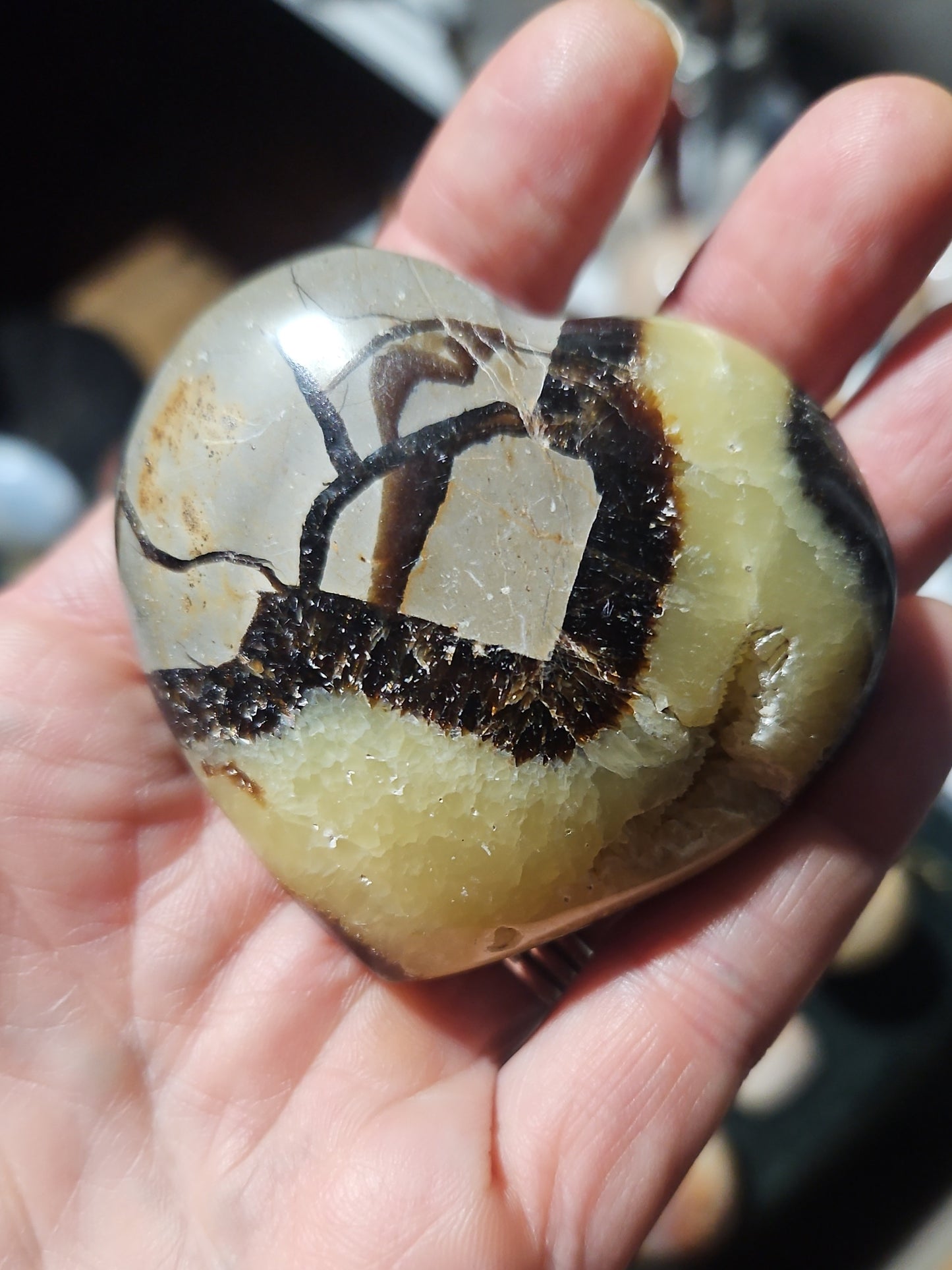 Septarian heart