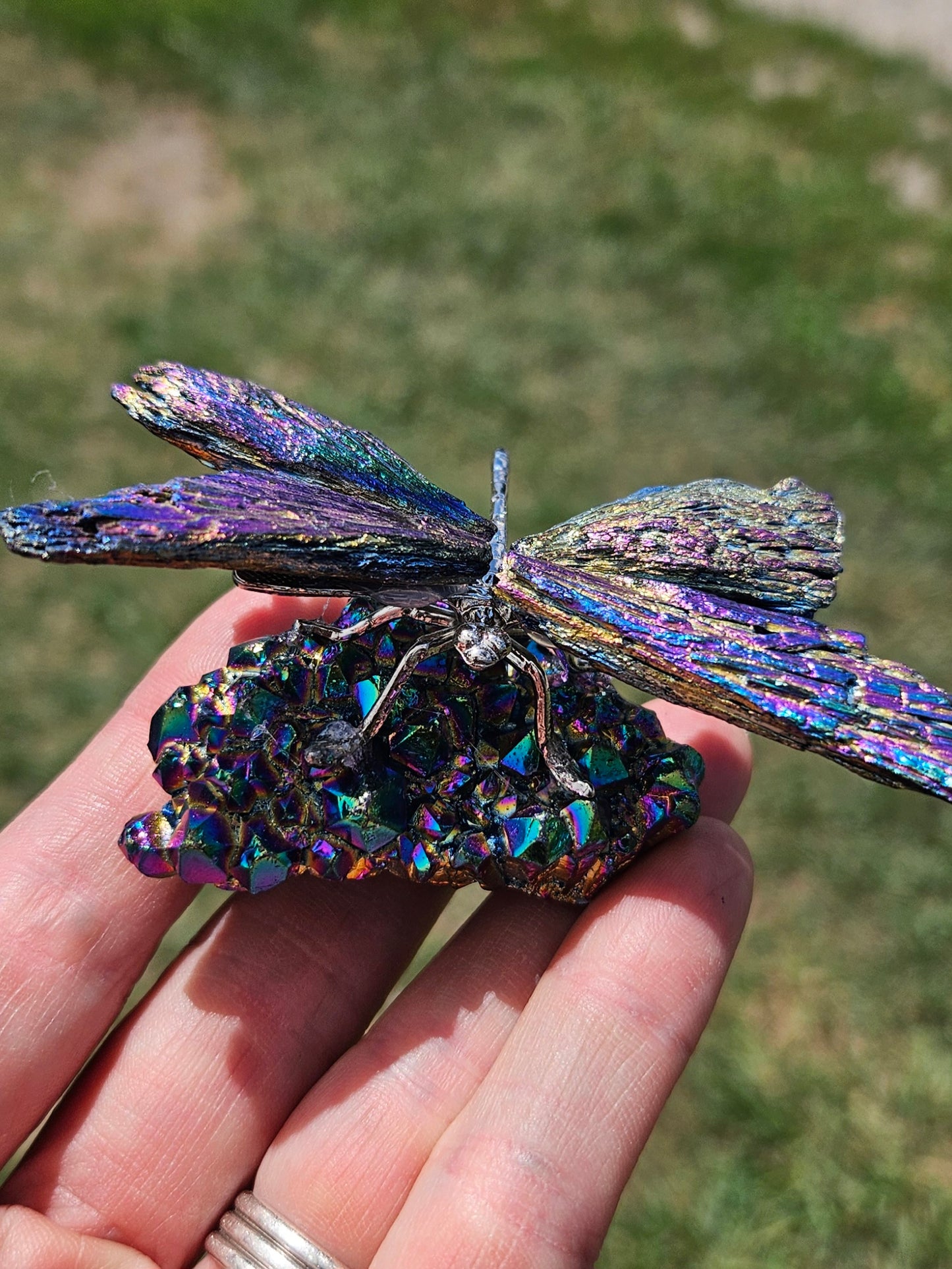 Rainbow Kyanite Dragonfly on Aura Quartz