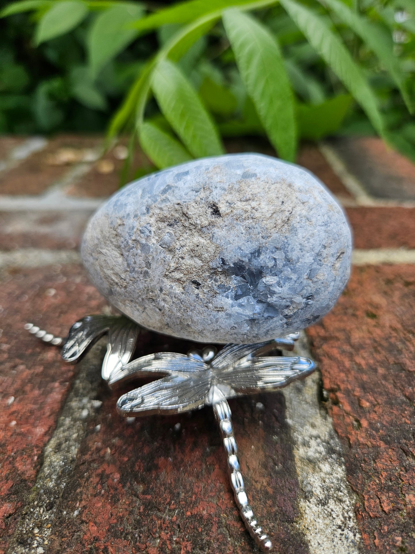 Celestite geode