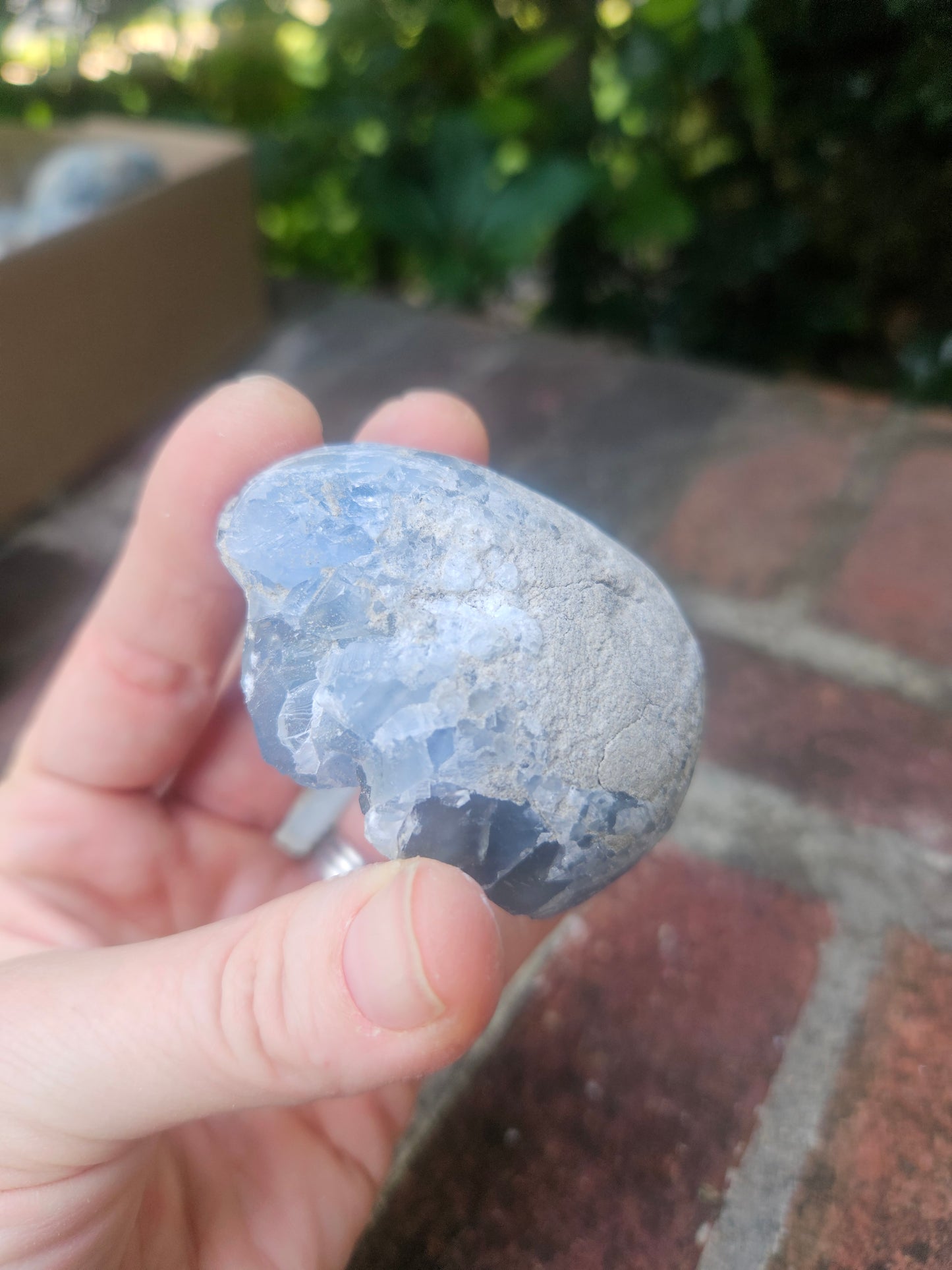 Celestine Geode