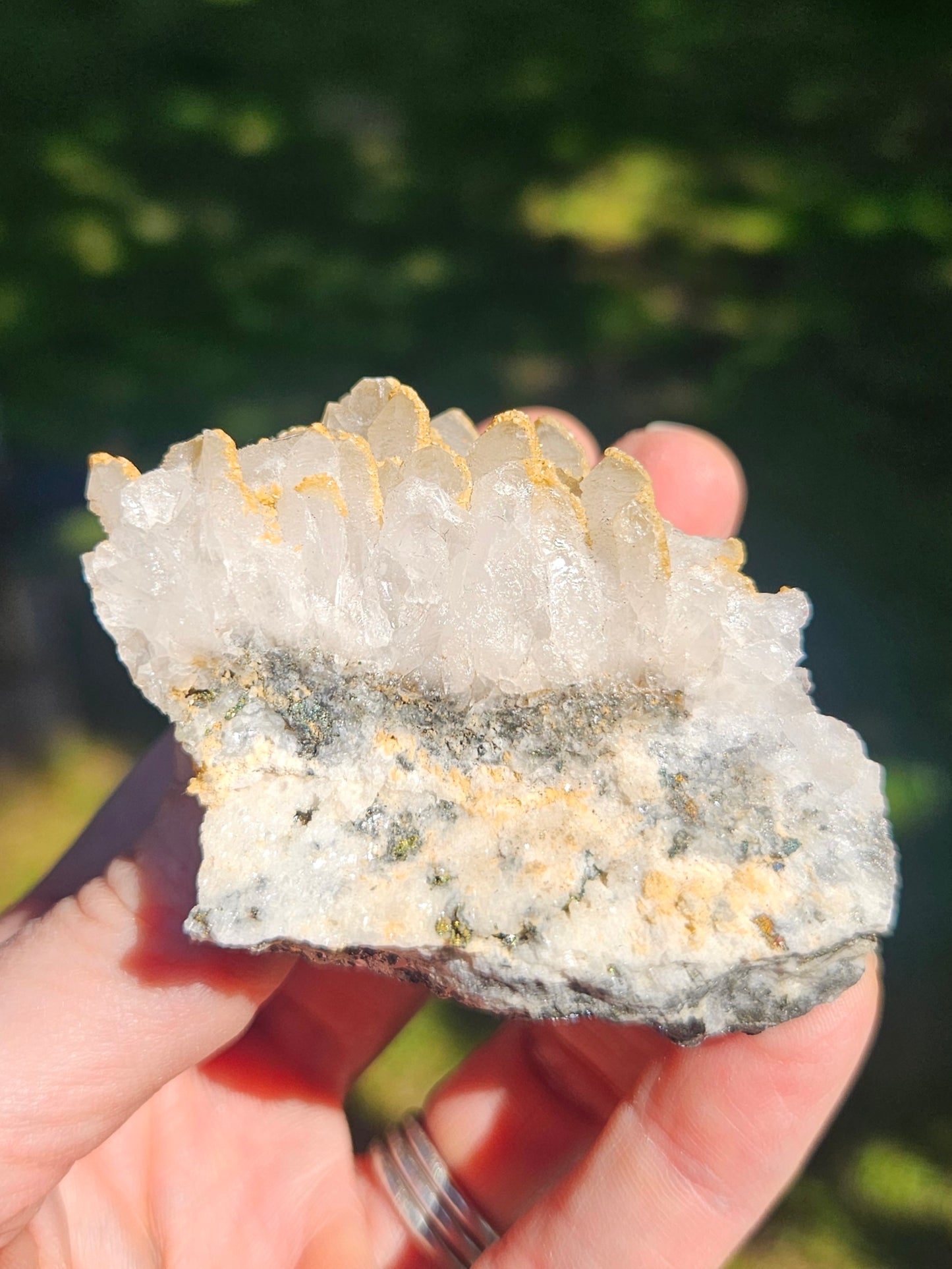 Mineral Specimen✨️