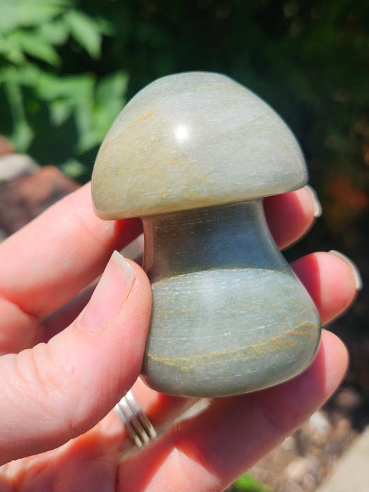 Trolleite mushroom