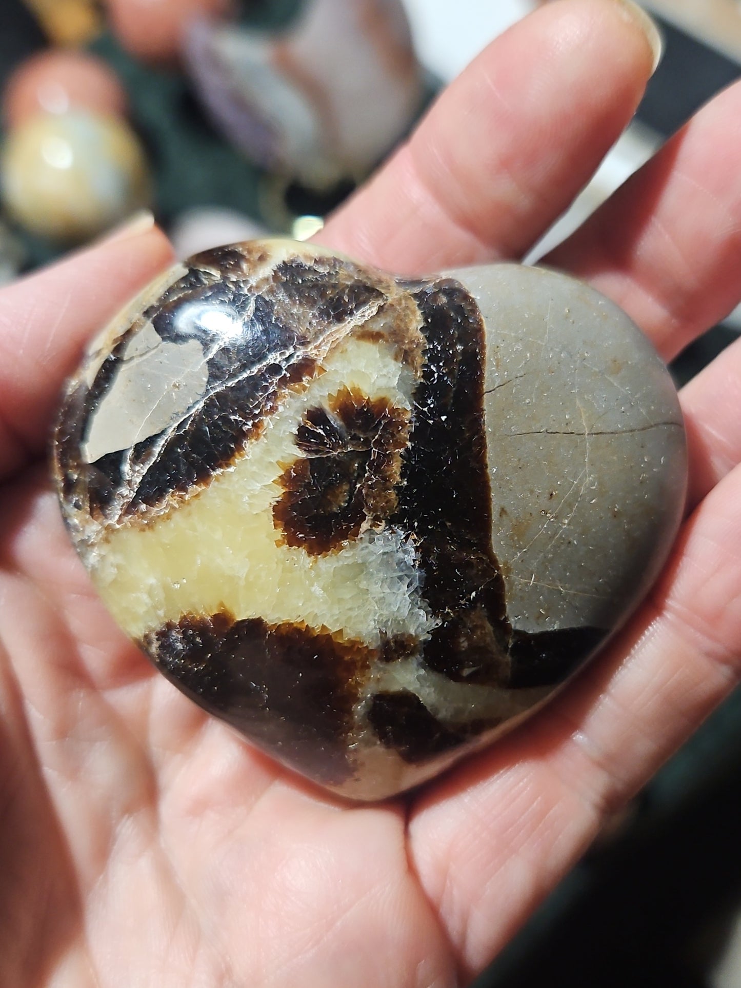 Septarian heart