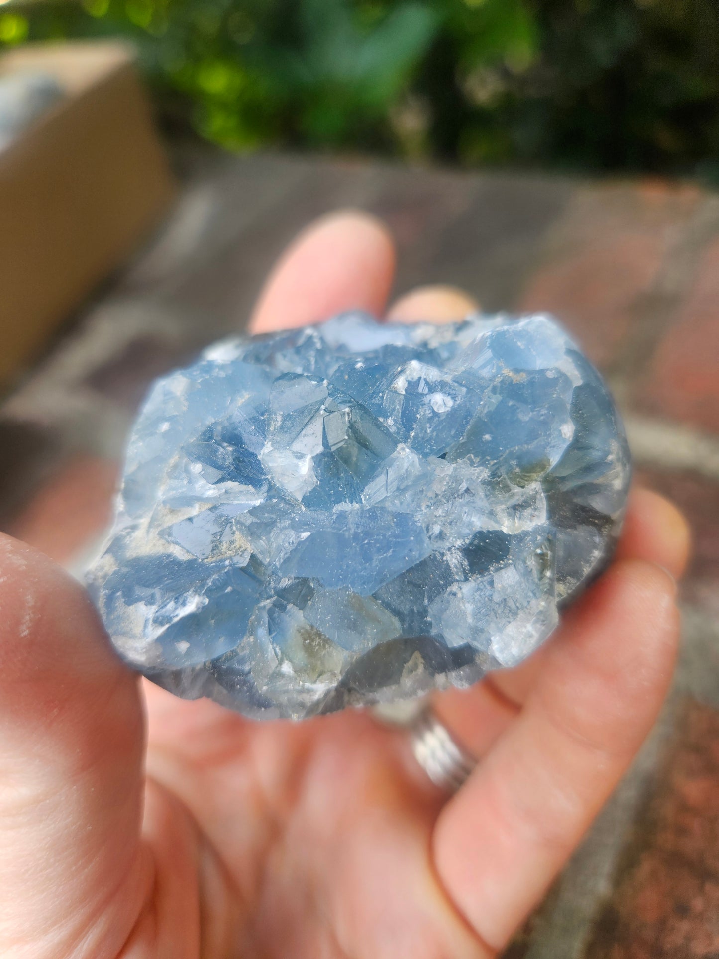 Celestine Geode