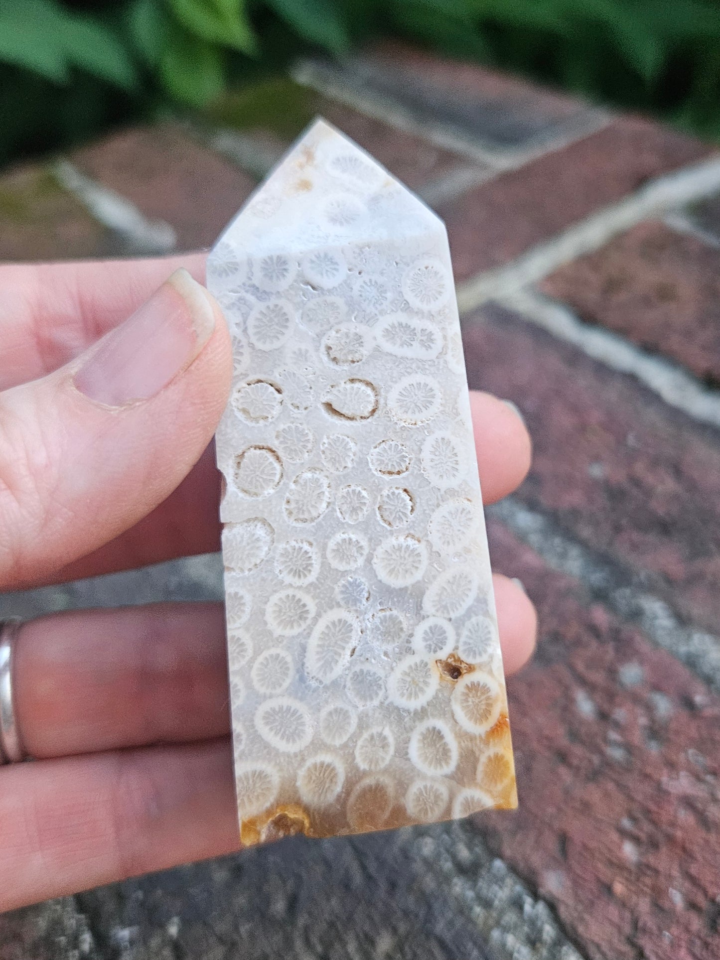 Fossilized Coral tower